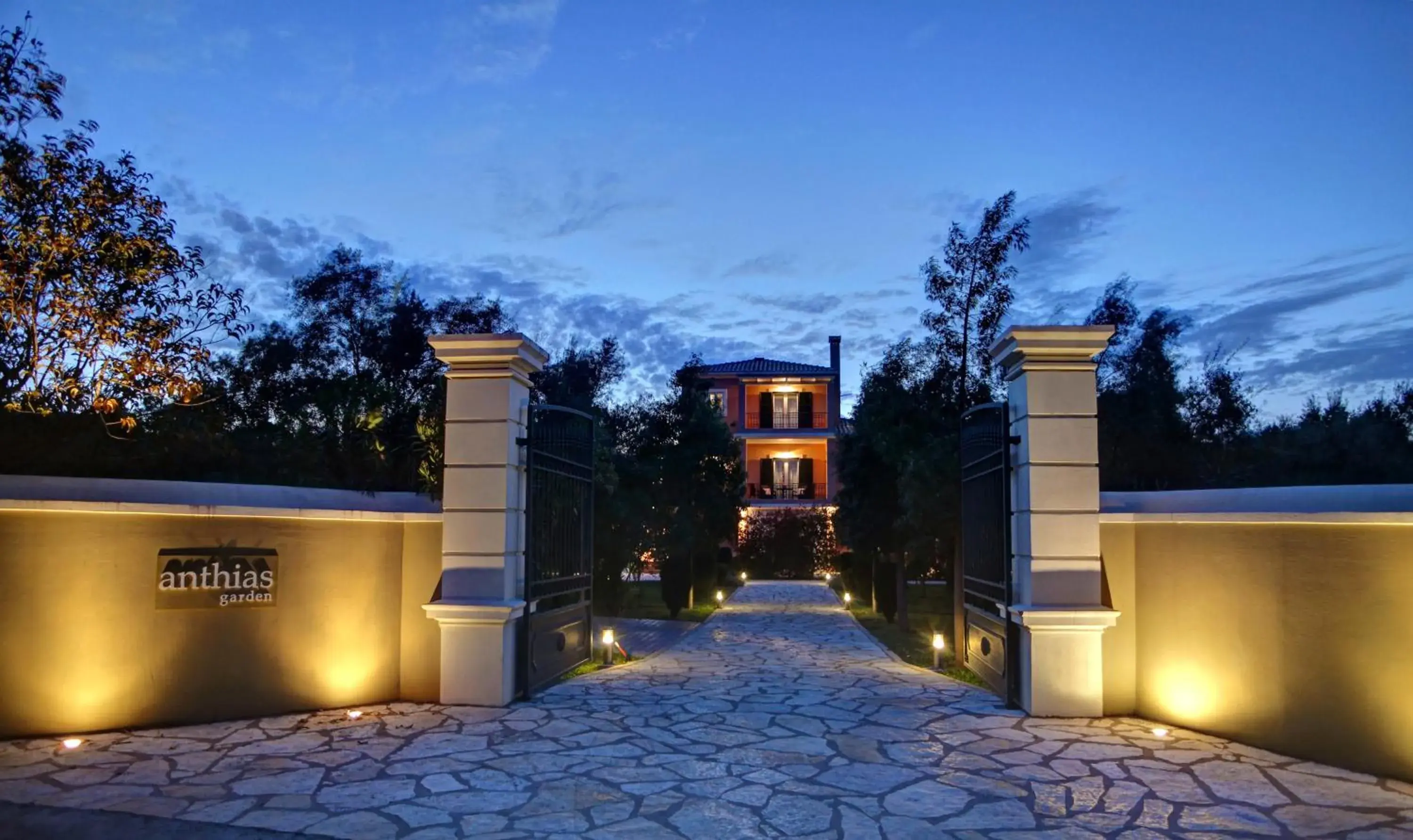 Anthias Garden Anthias Garden