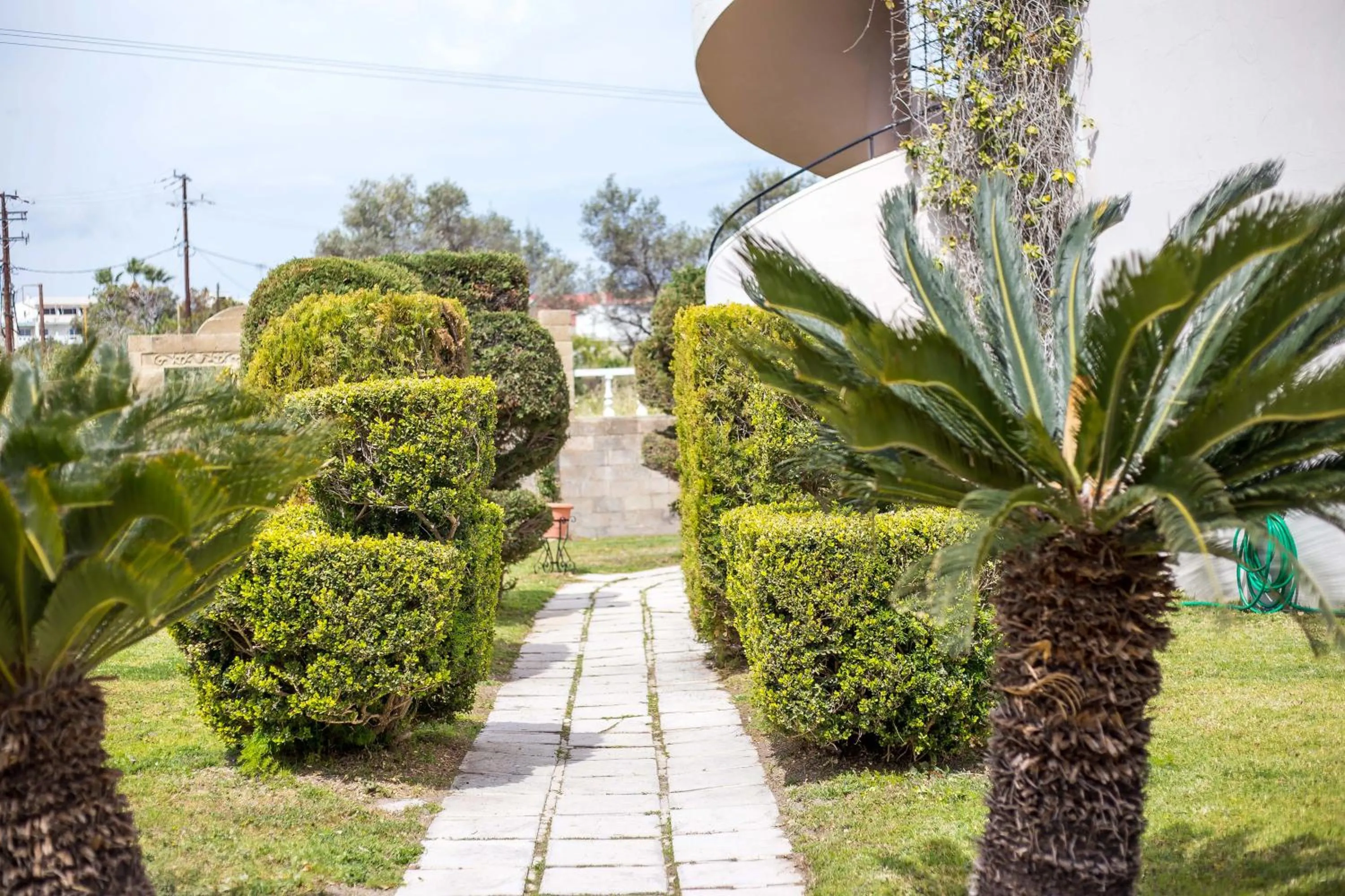 Garden view in Jimmy’s Garden