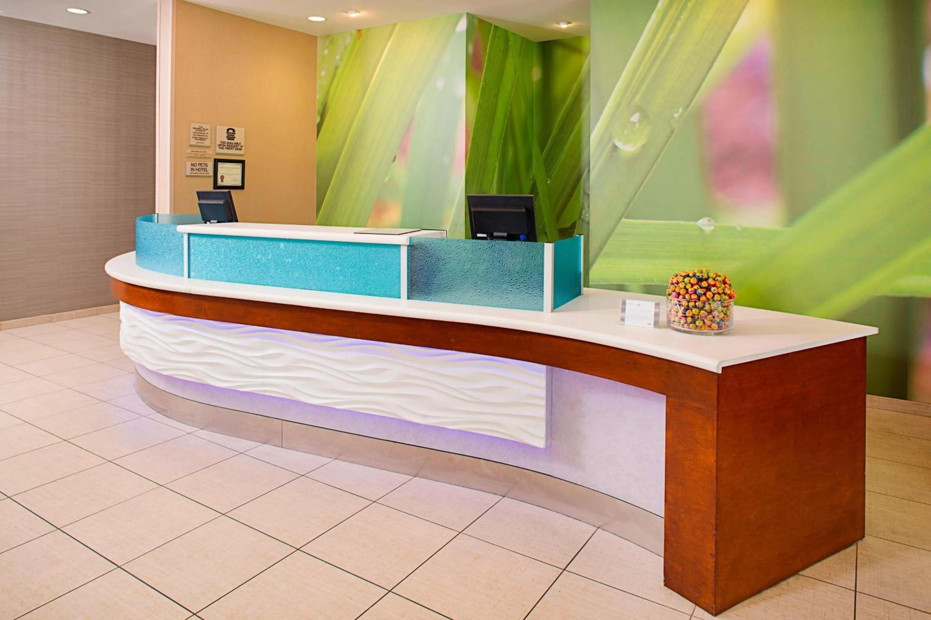 Lobby or reception in SpringHill Suites by Marriott Dallas Richardson/Plano