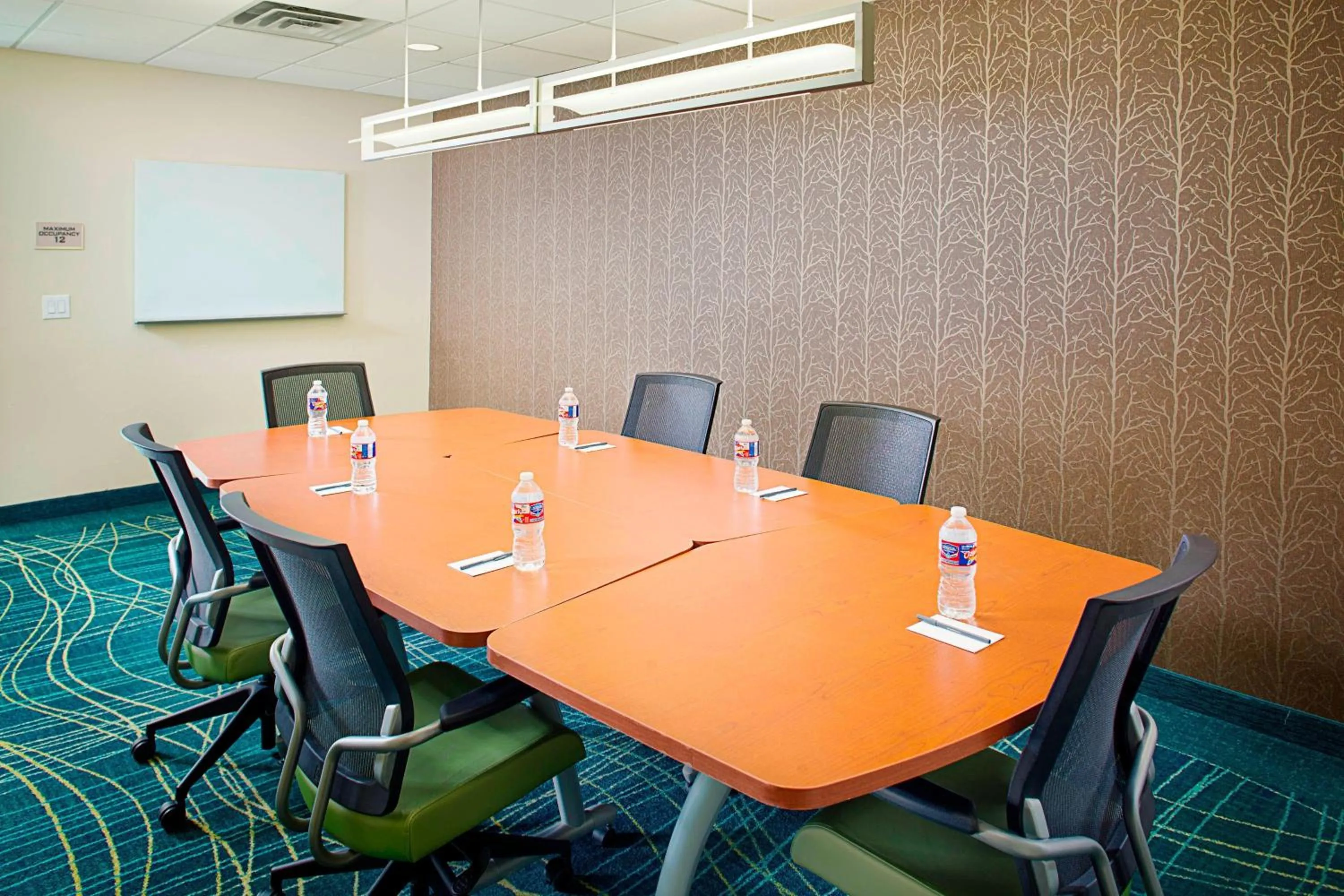 Meeting/conference room in SpringHill Suites by Marriott Dallas Richardson/Plano