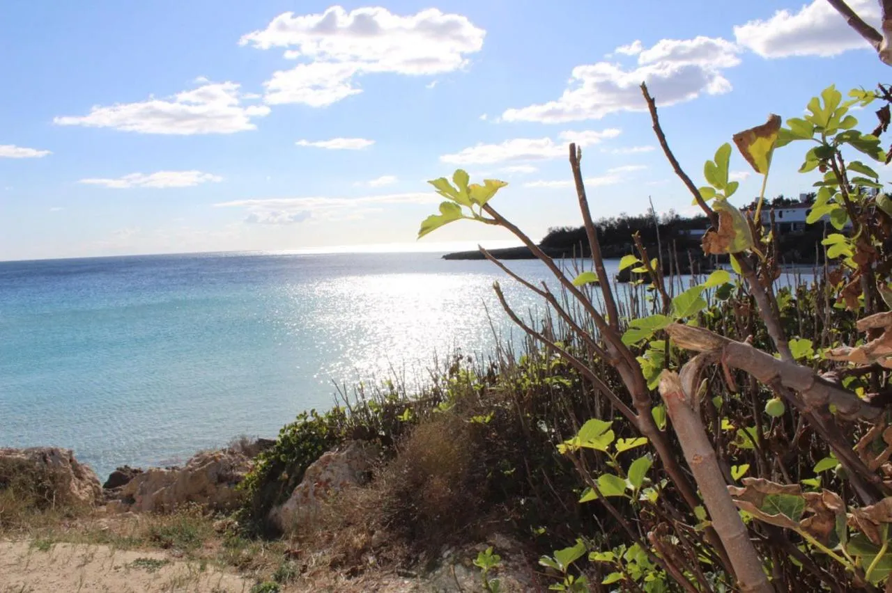 Natural landscape in Casa Mita