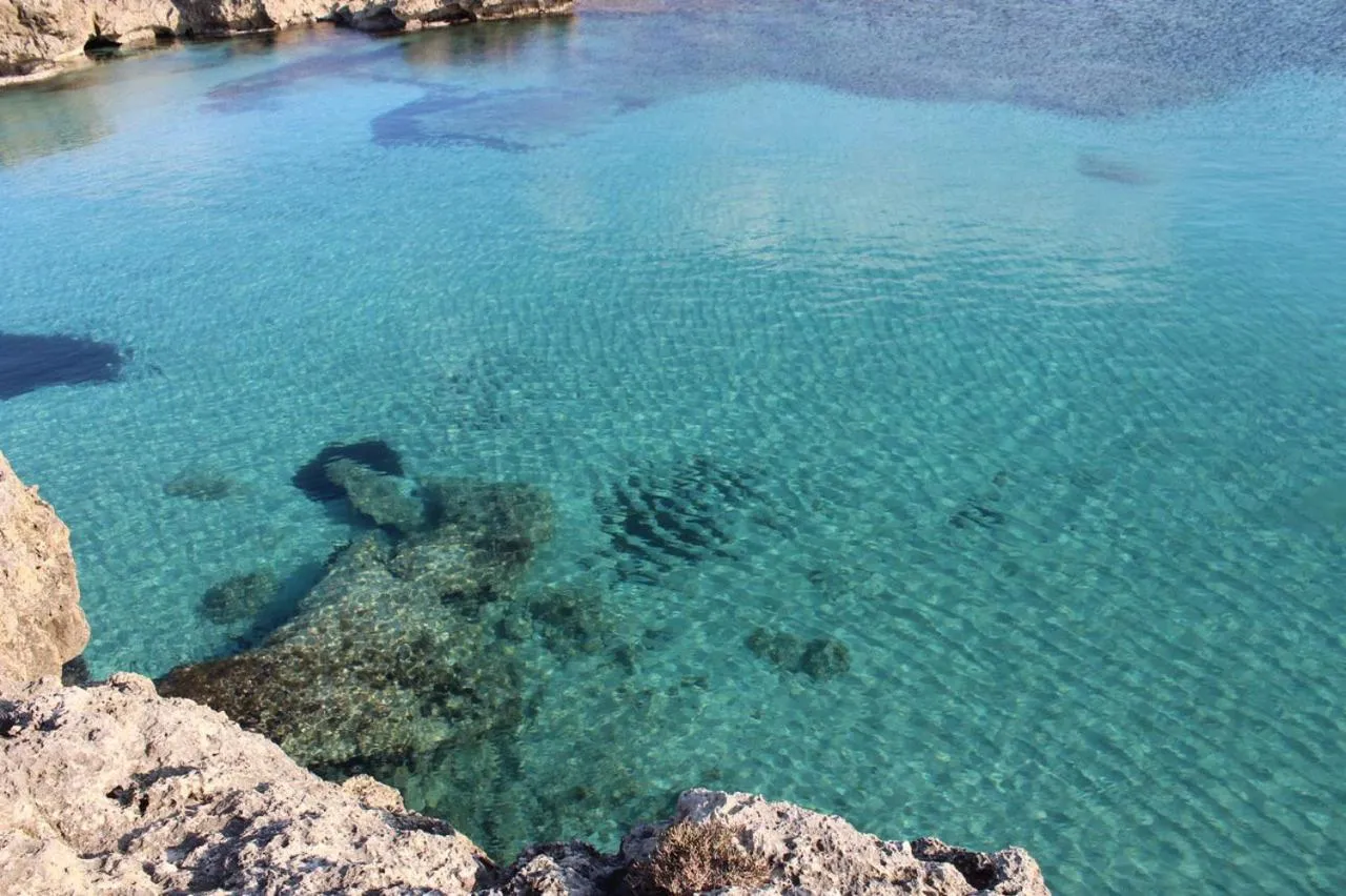 Natural landscape in Casa Mita