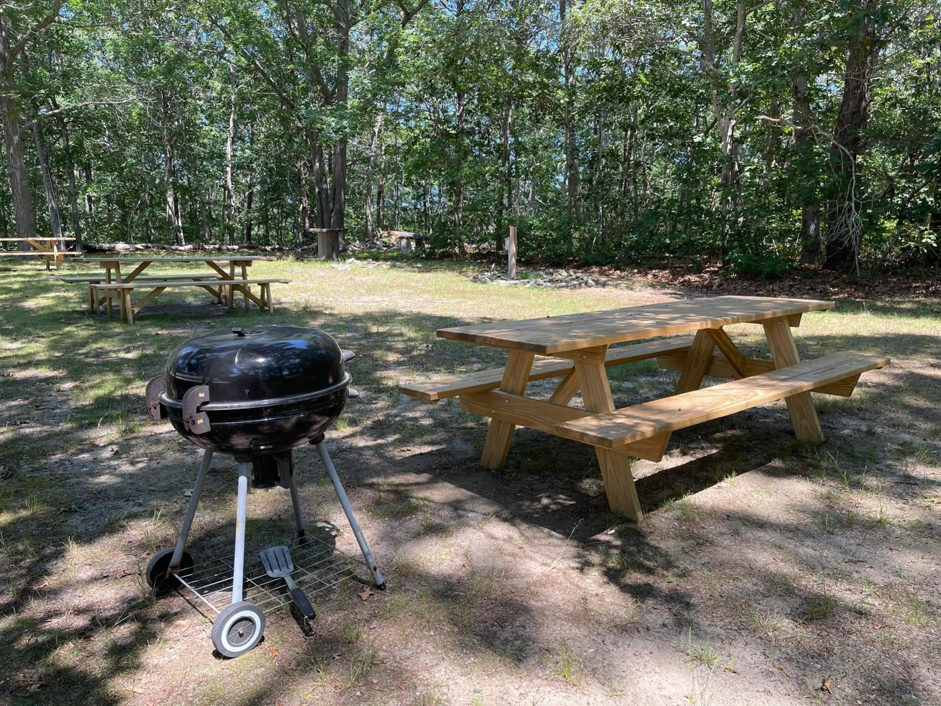 Area and facilities in Viking Shores Motor Inn