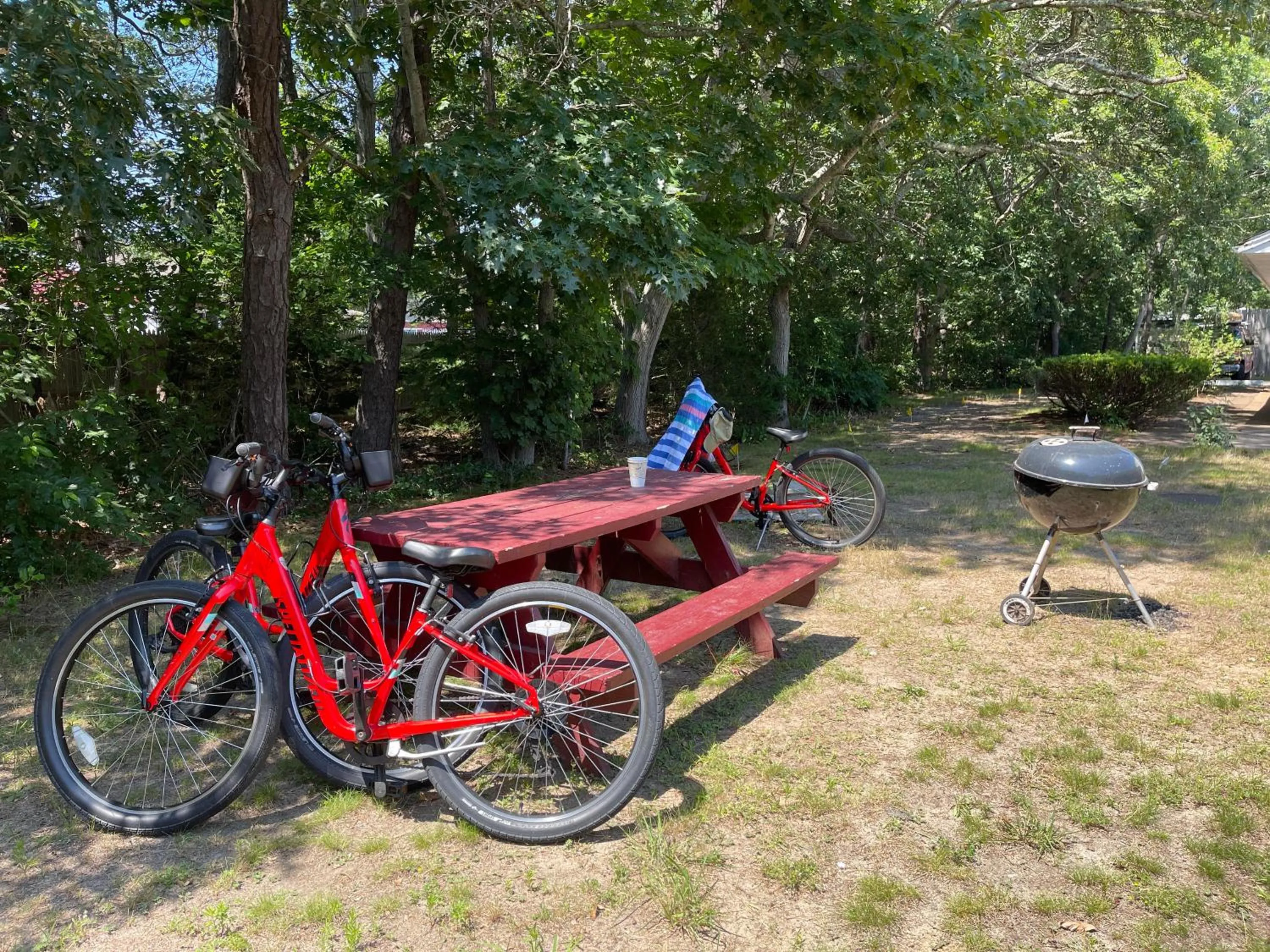 View (from property/room) in Viking Shores Motor Inn