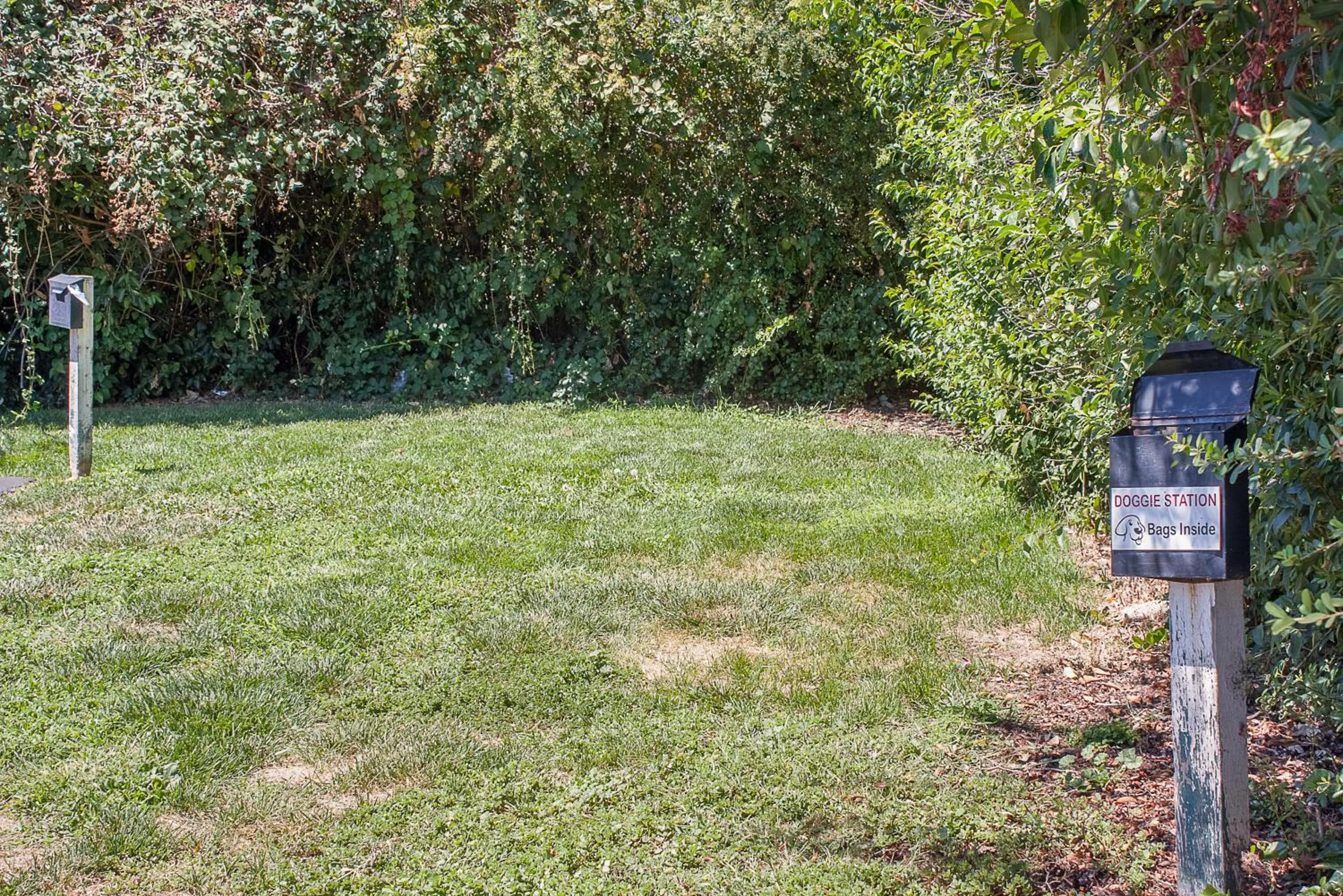 Decorative detail in Motel 6-Ukiah, CA