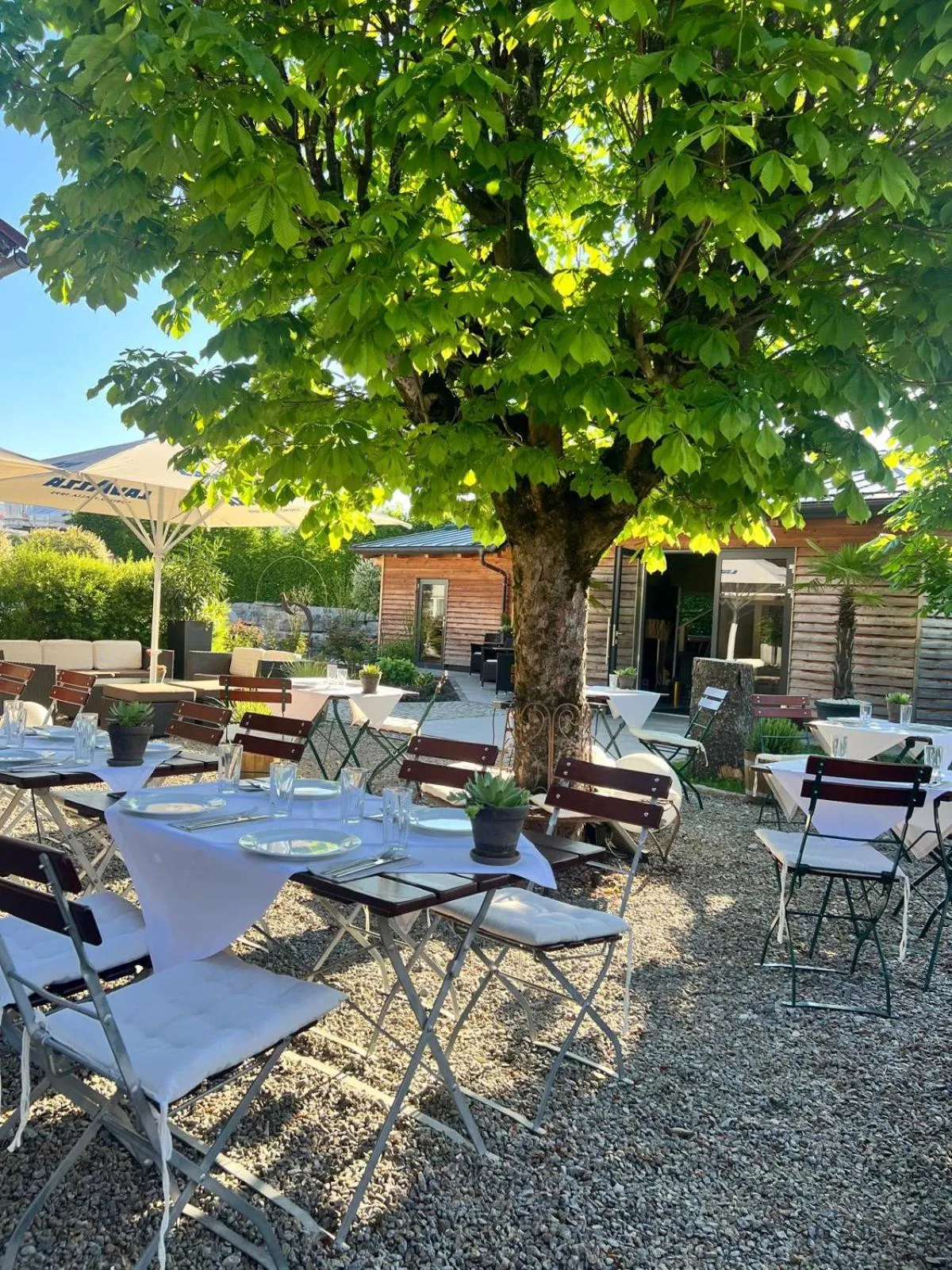 Garden in Patrix Hotel, Restaurant, Bar