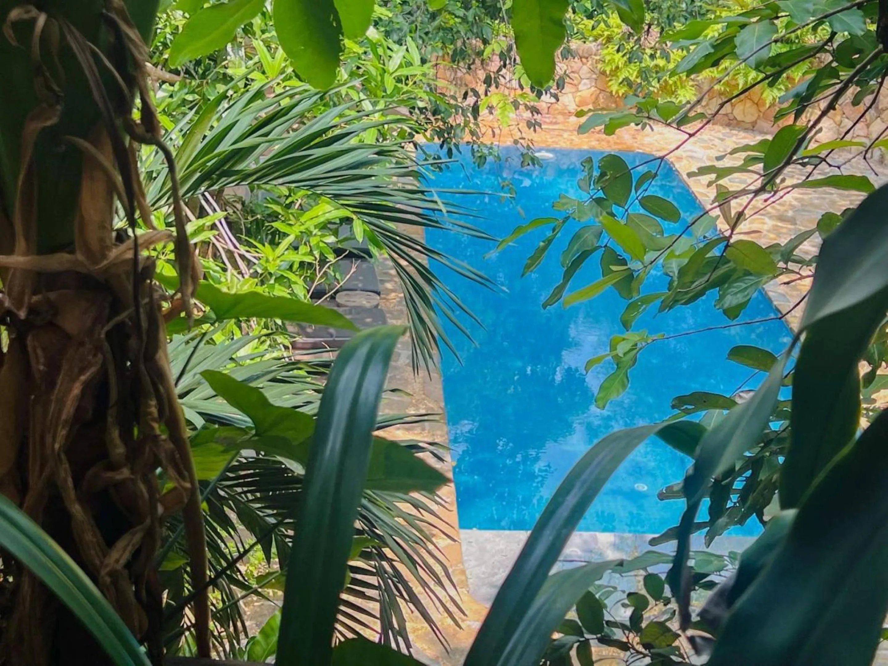 Swimming pool in Veranda Natural Resort
