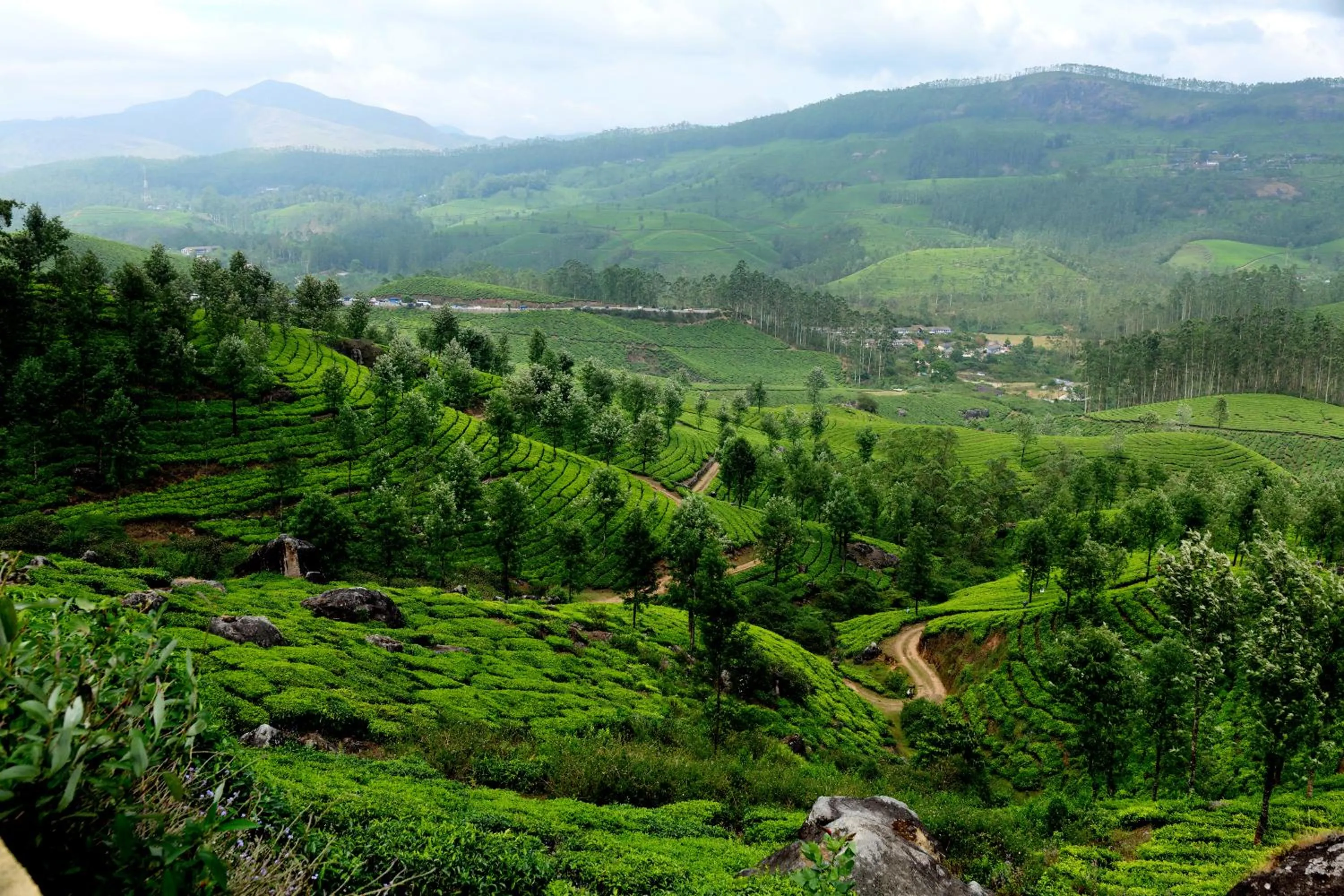 Nearby landmark in Mountain Club Resort Munnar