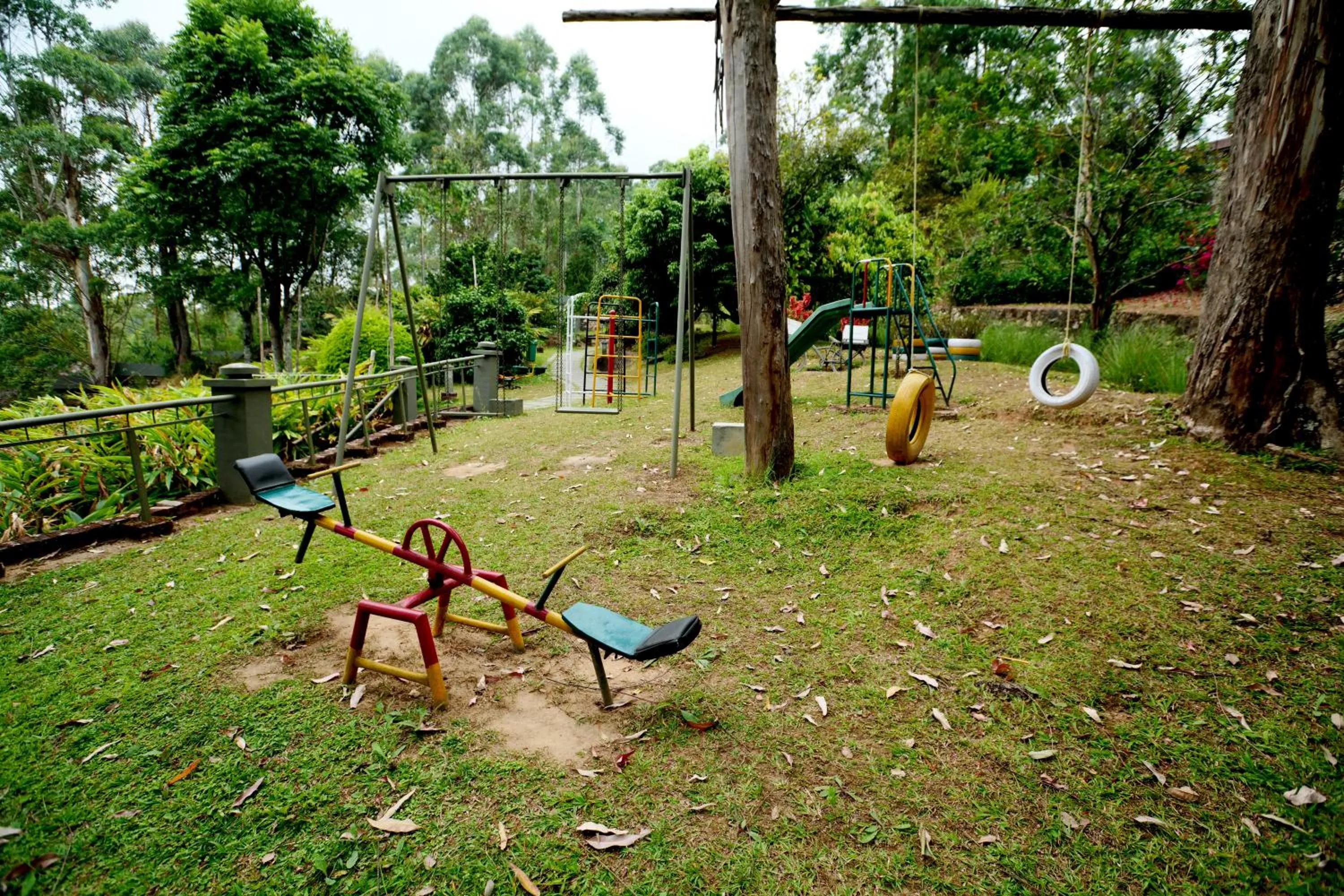 Natural landscape in Mountain Club Resort Munnar