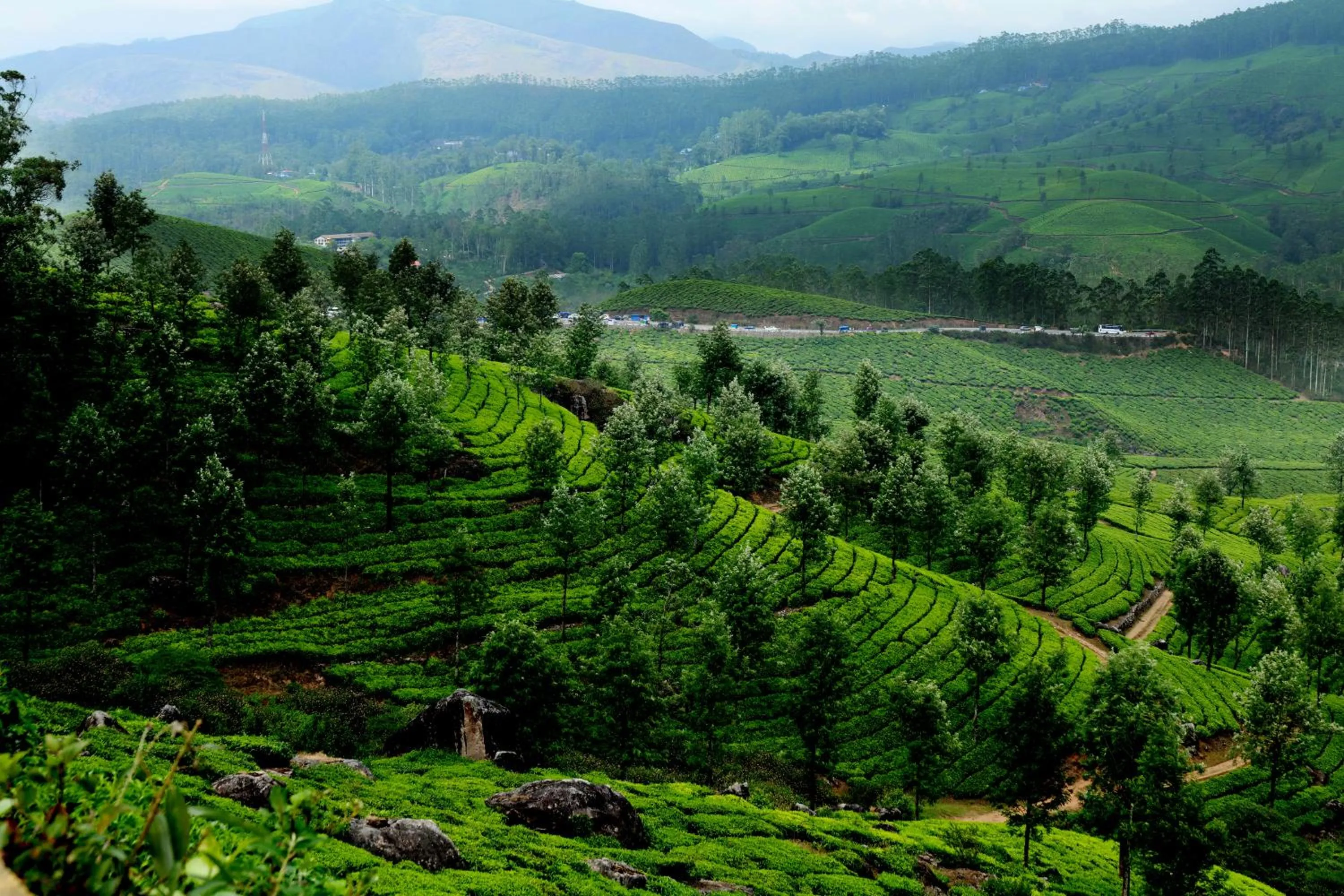 Nearby landmark in Mountain Club Resort Munnar