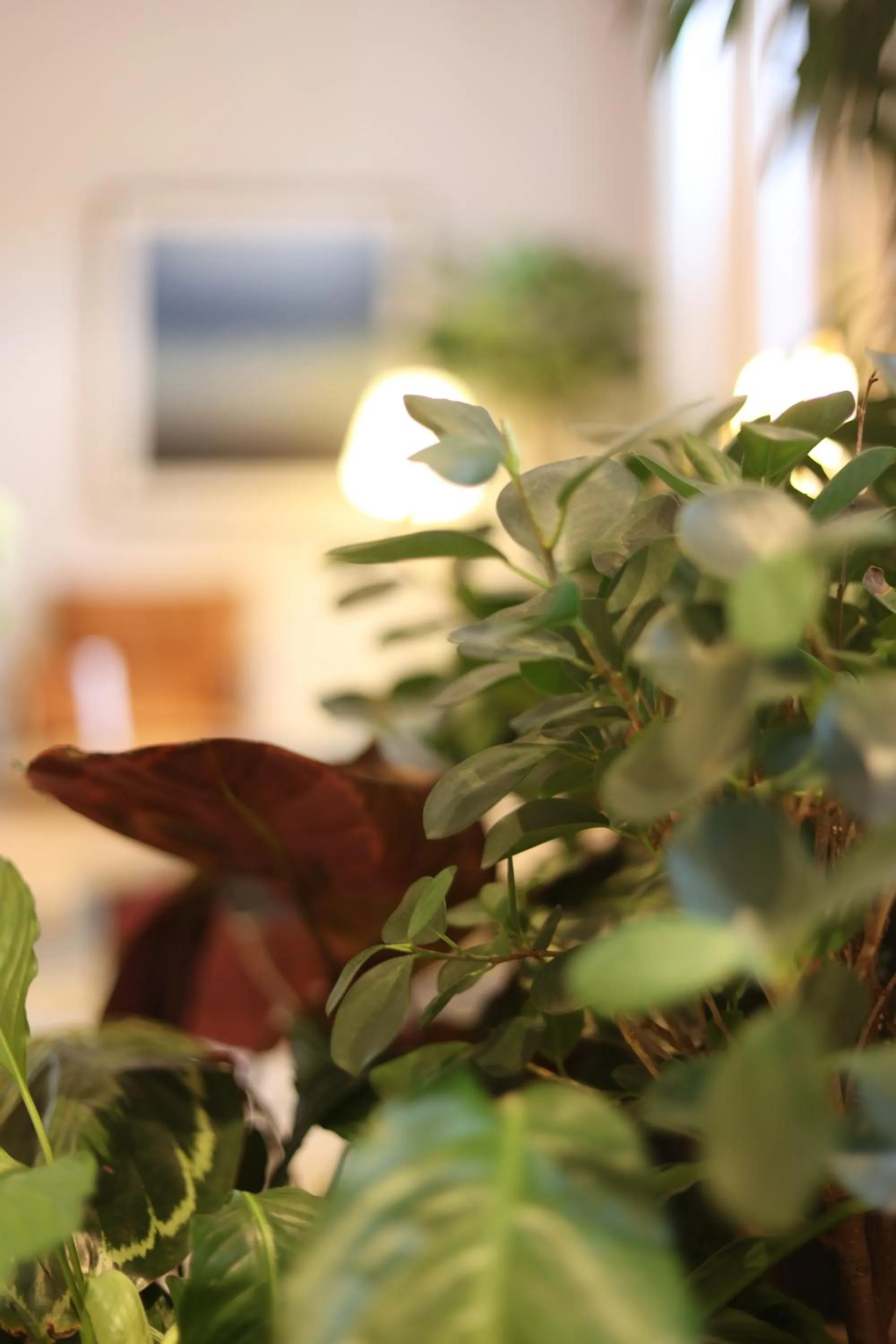 Area and facilities in Inhabit Southwick Street, a Member of Design Hotels