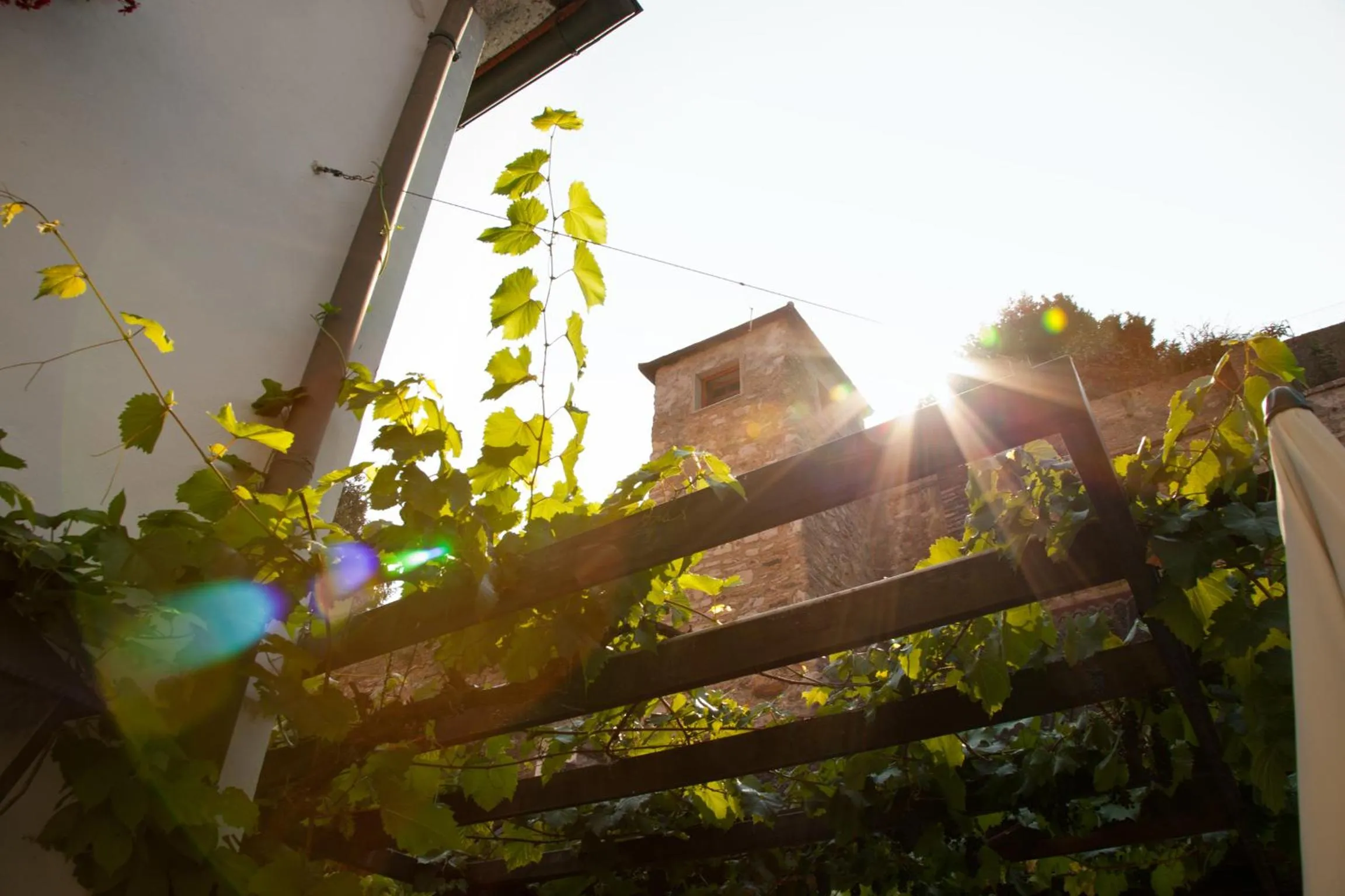 Nearby landmark in Gasthof zum Goldenen Anker