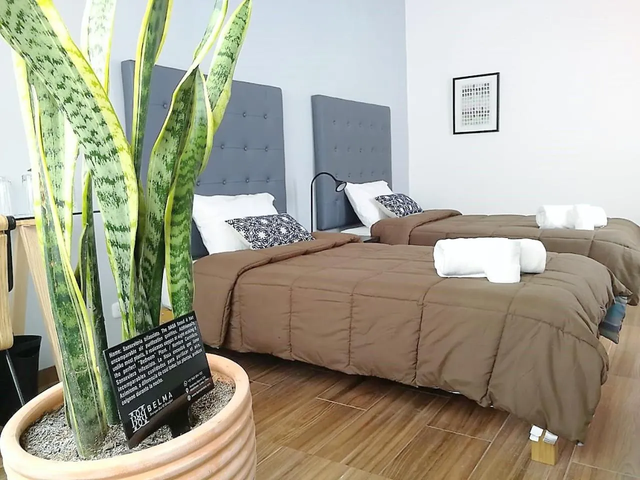 Photo of the whole room, Bed in Belma Boutique Bed and Breakfast