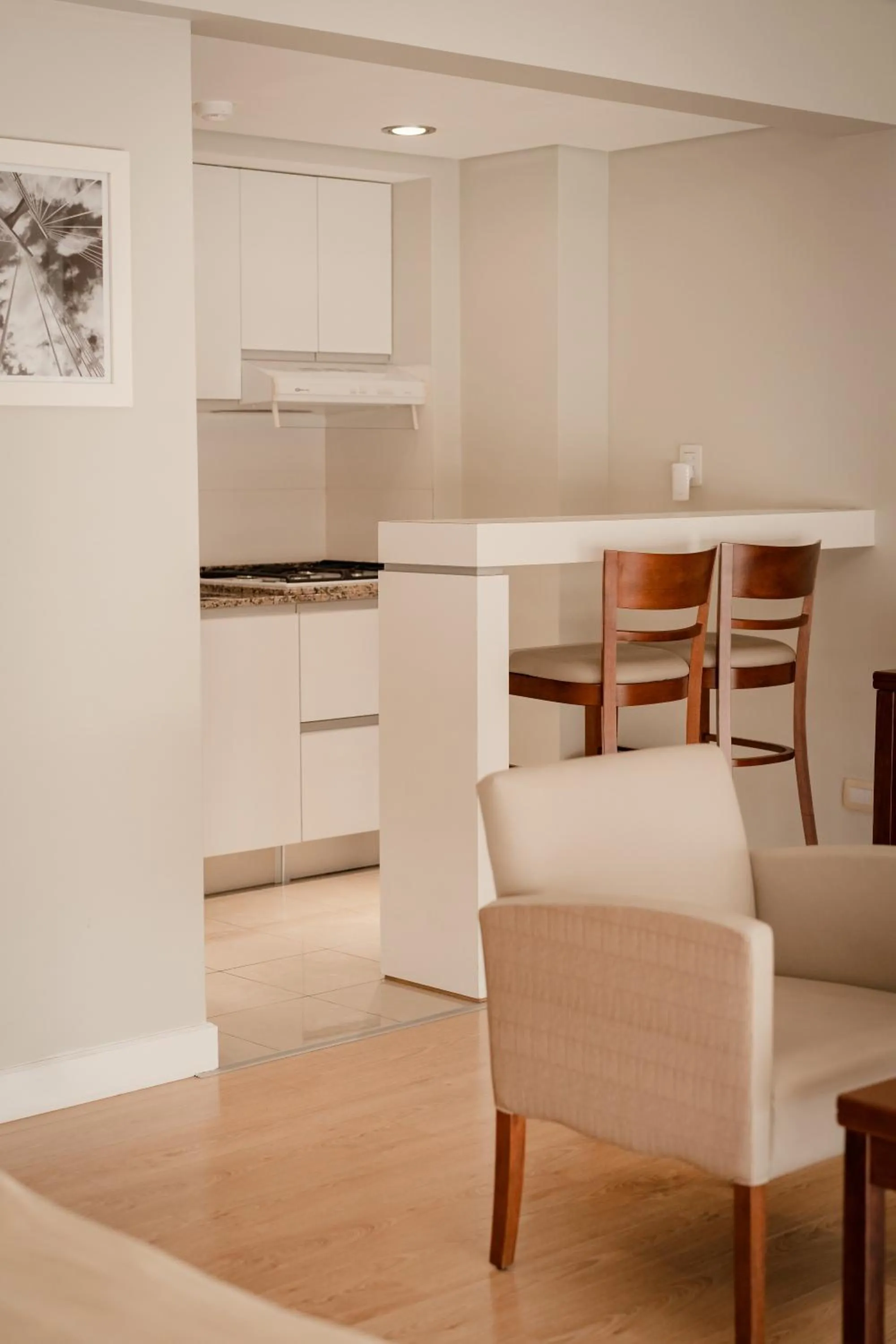 Kitchen or kitchenette in Hotel Carat Apart Boutique