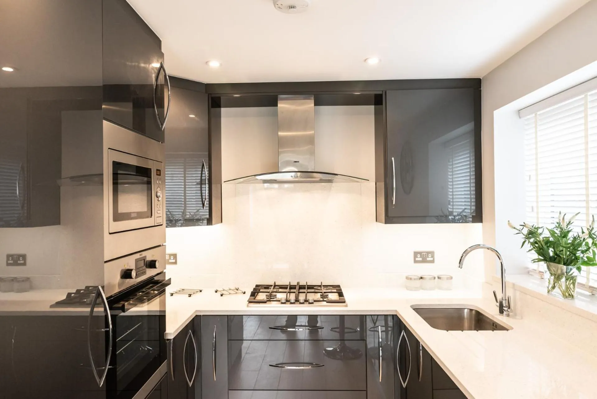 Kitchen or kitchenette in Ivory Lodge
