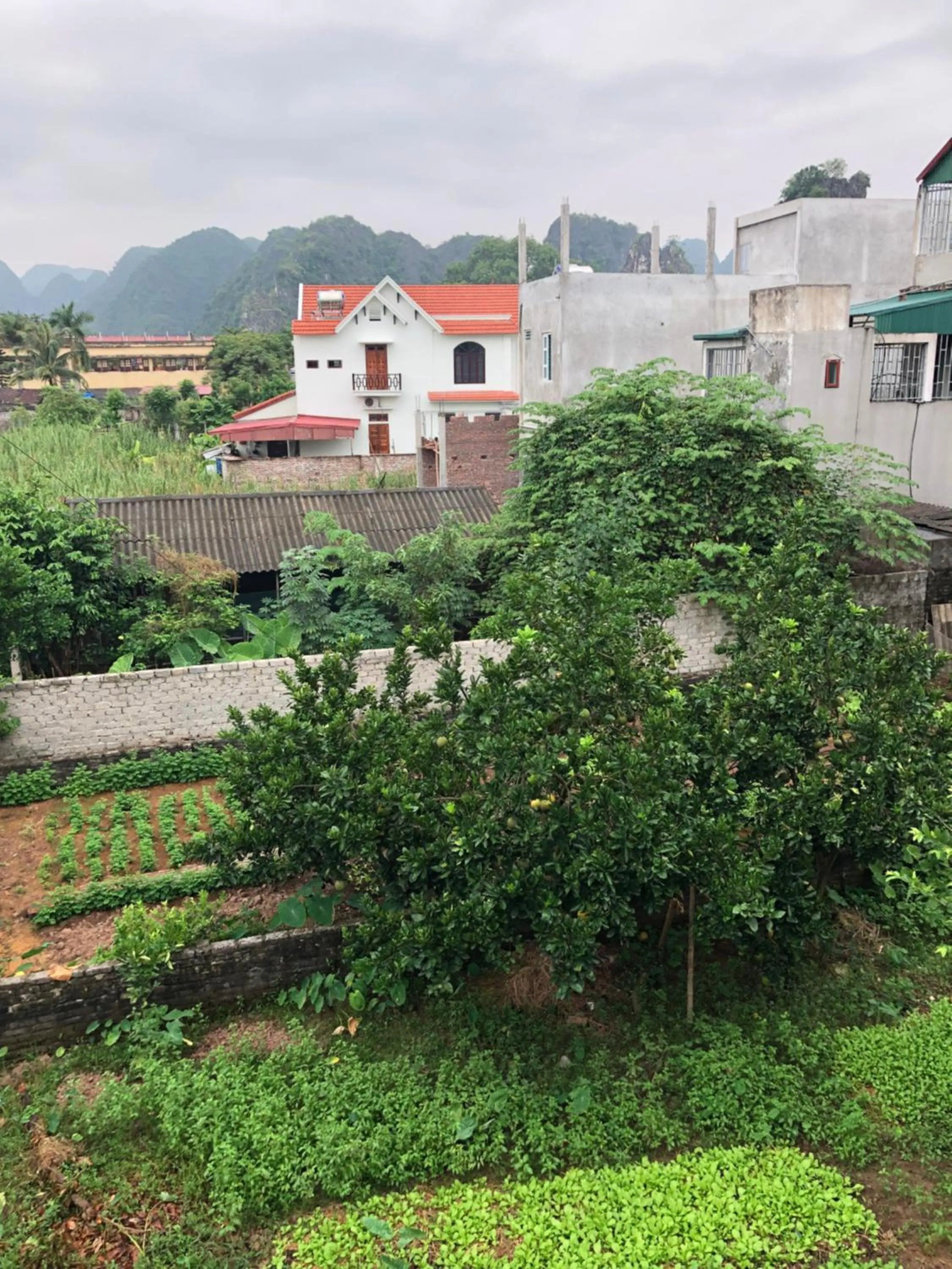Garden view in Tam Coc - Thành Homestay