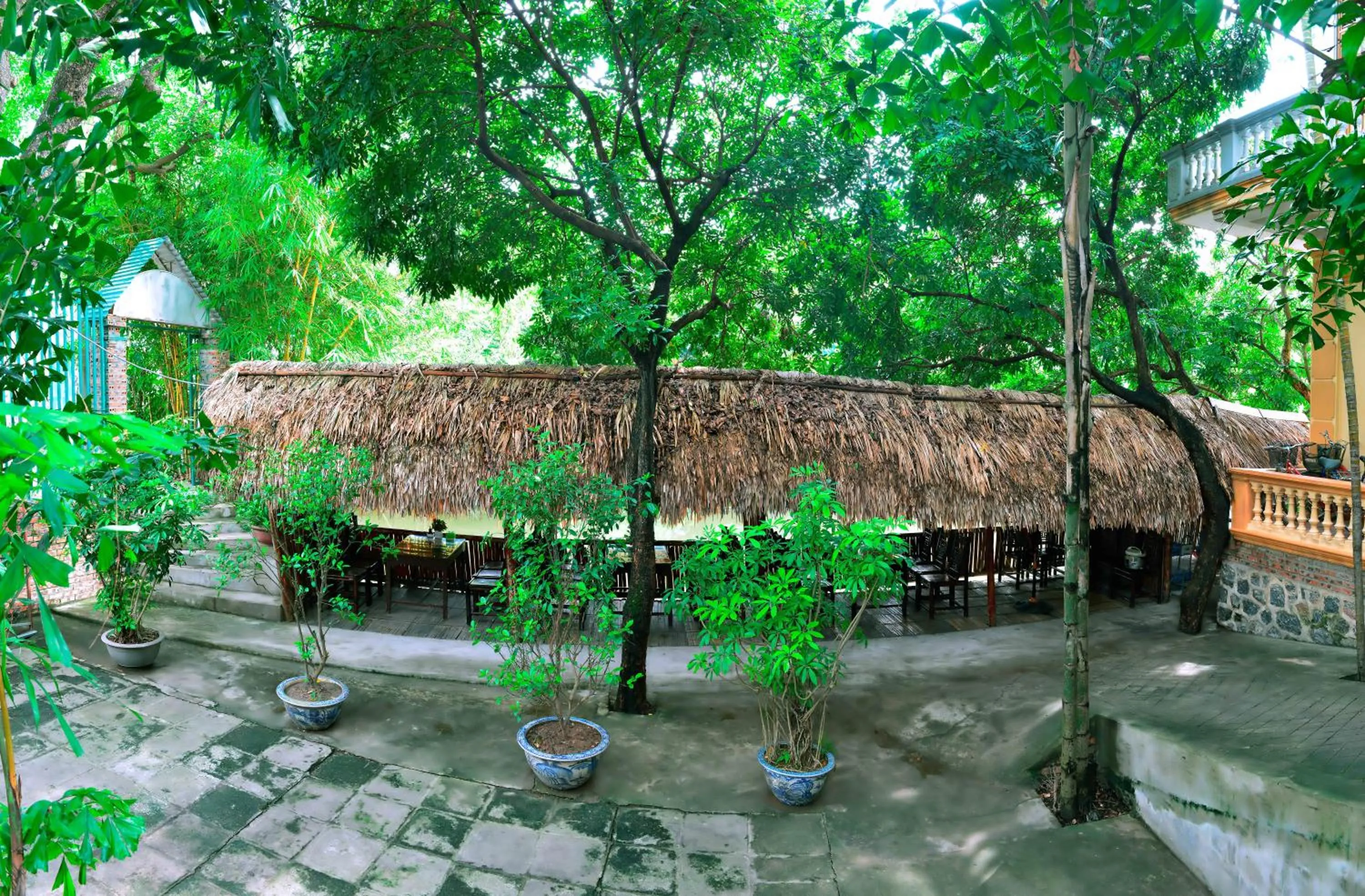 Garden in Tam Coc - Thành Homestay