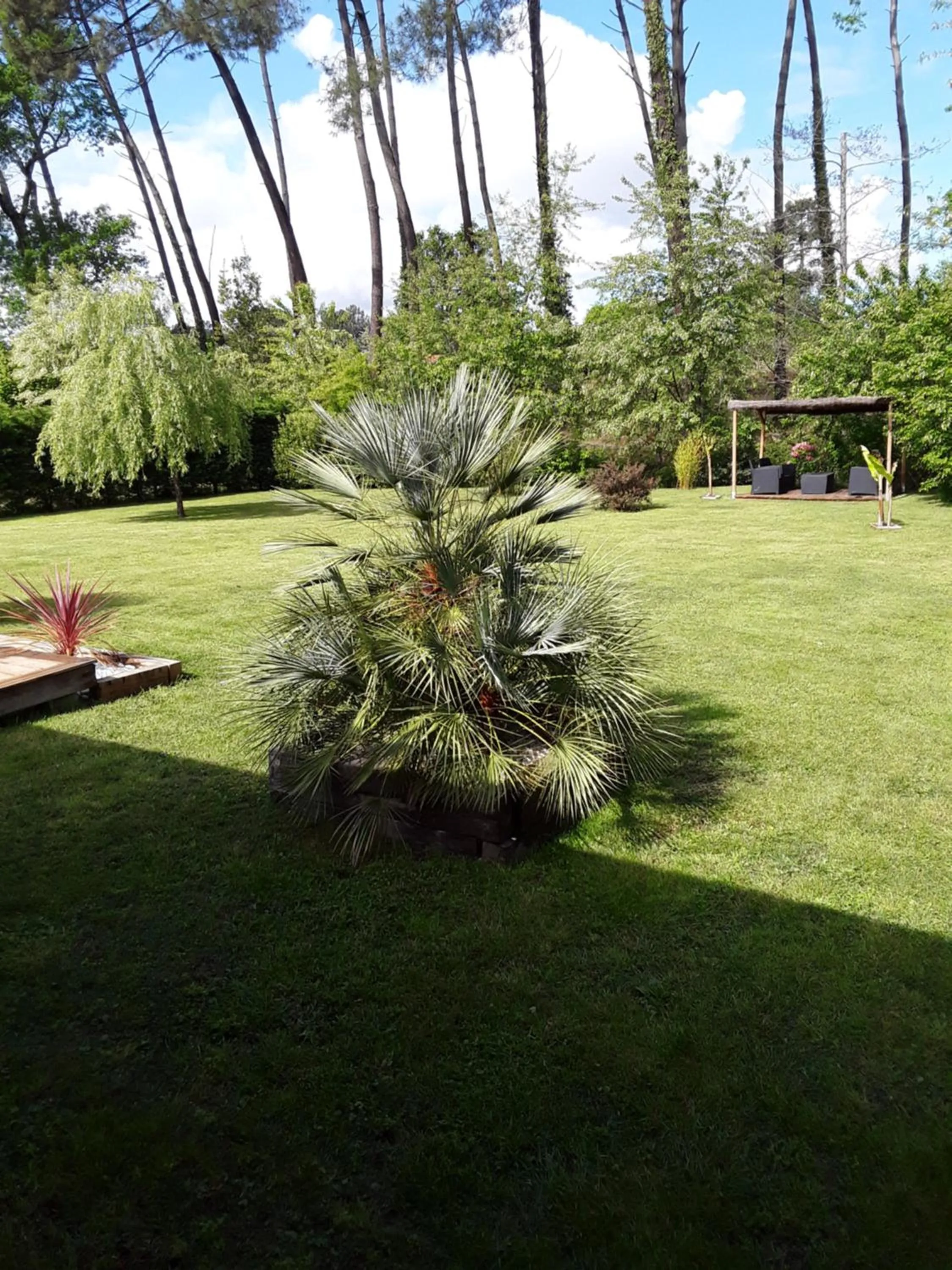 Garden in Chambre d'hôtes les Iris à Mios sur le Bassin d'Arcachon