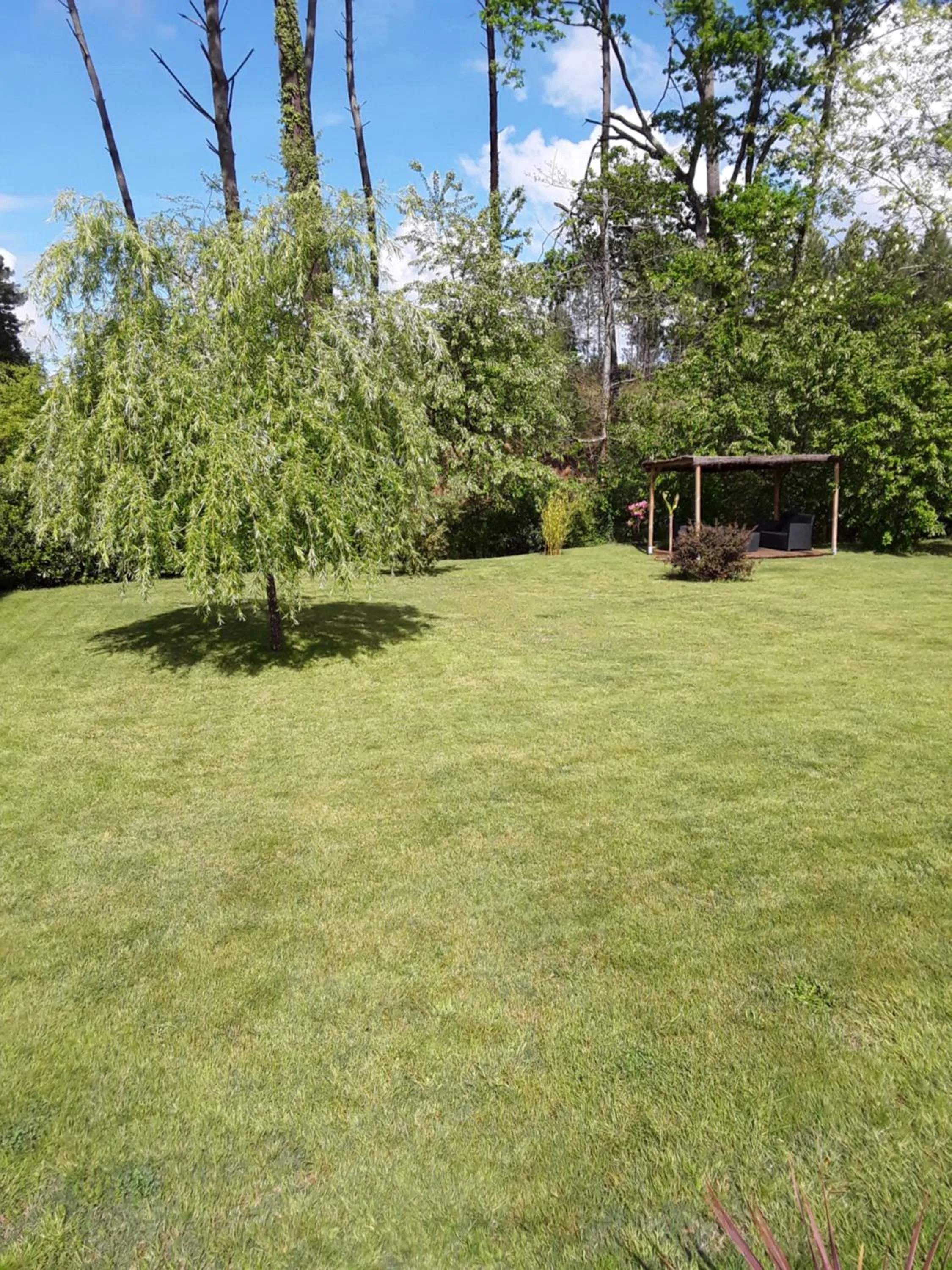Garden in Chambre d'hôtes les Iris à Mios sur le Bassin d'Arcachon