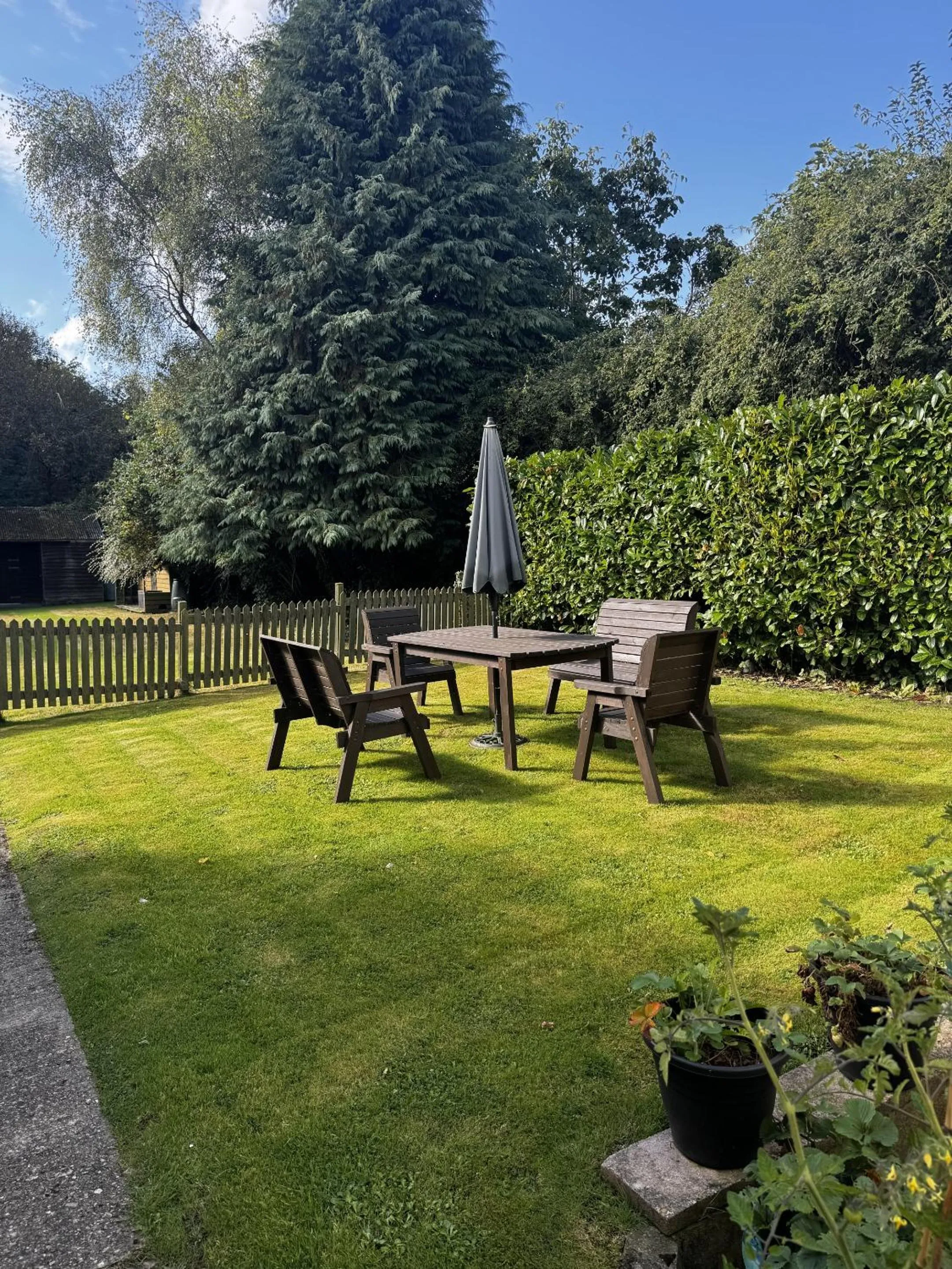 Garden in Watermead House