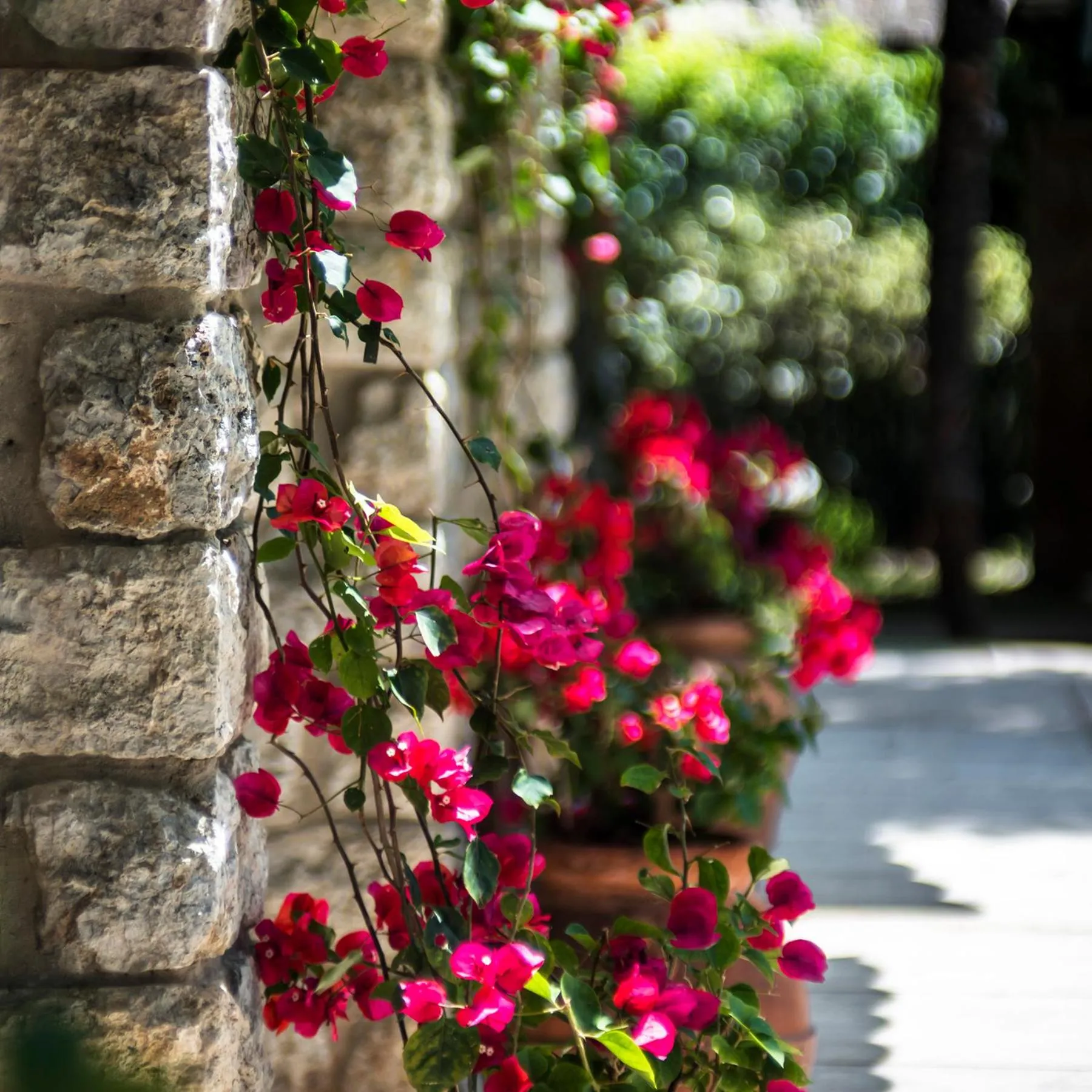 Facade/entrance in Augustus Hotel & Resort