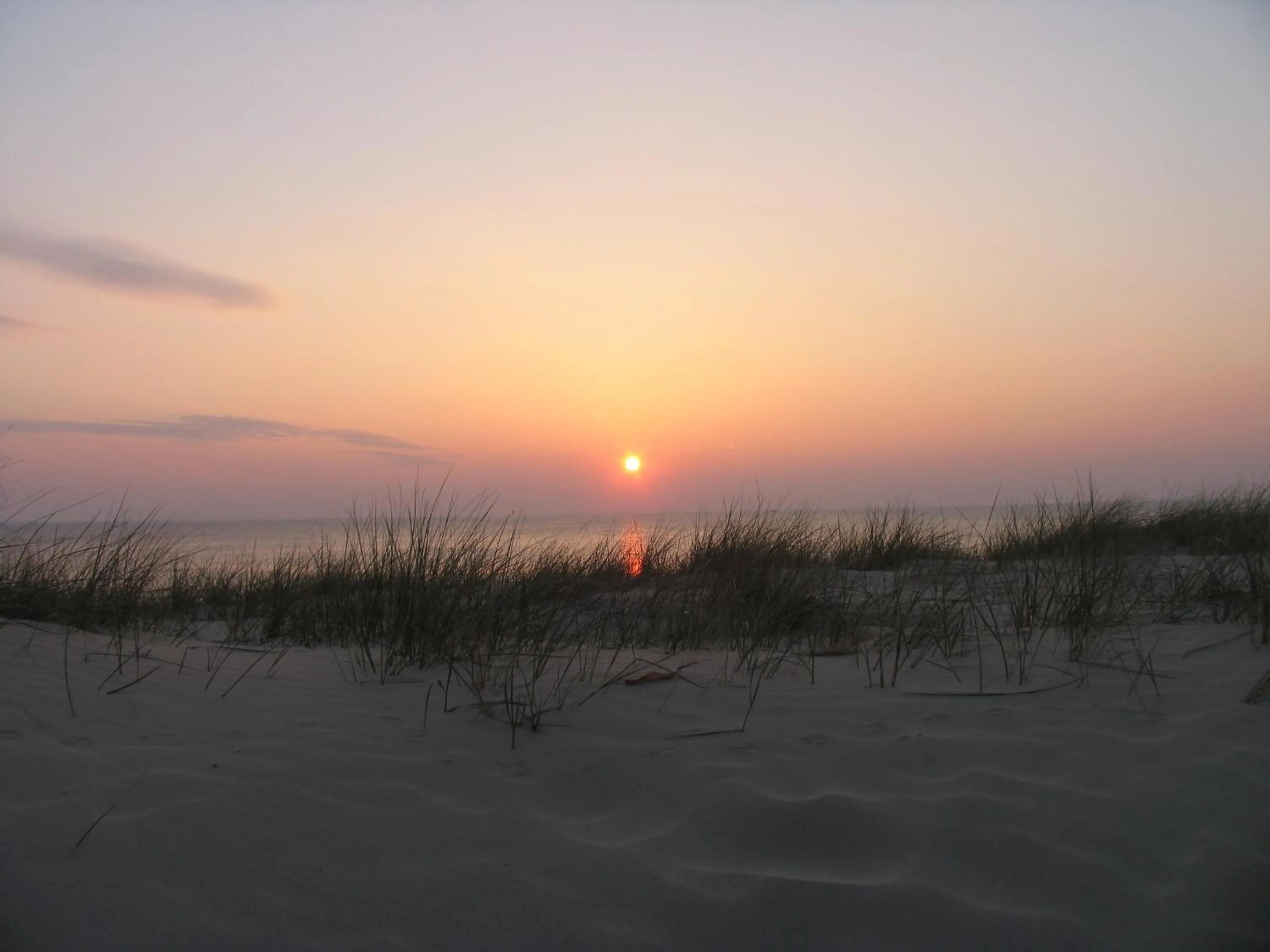 View (from property/room) in Hotel De Boei