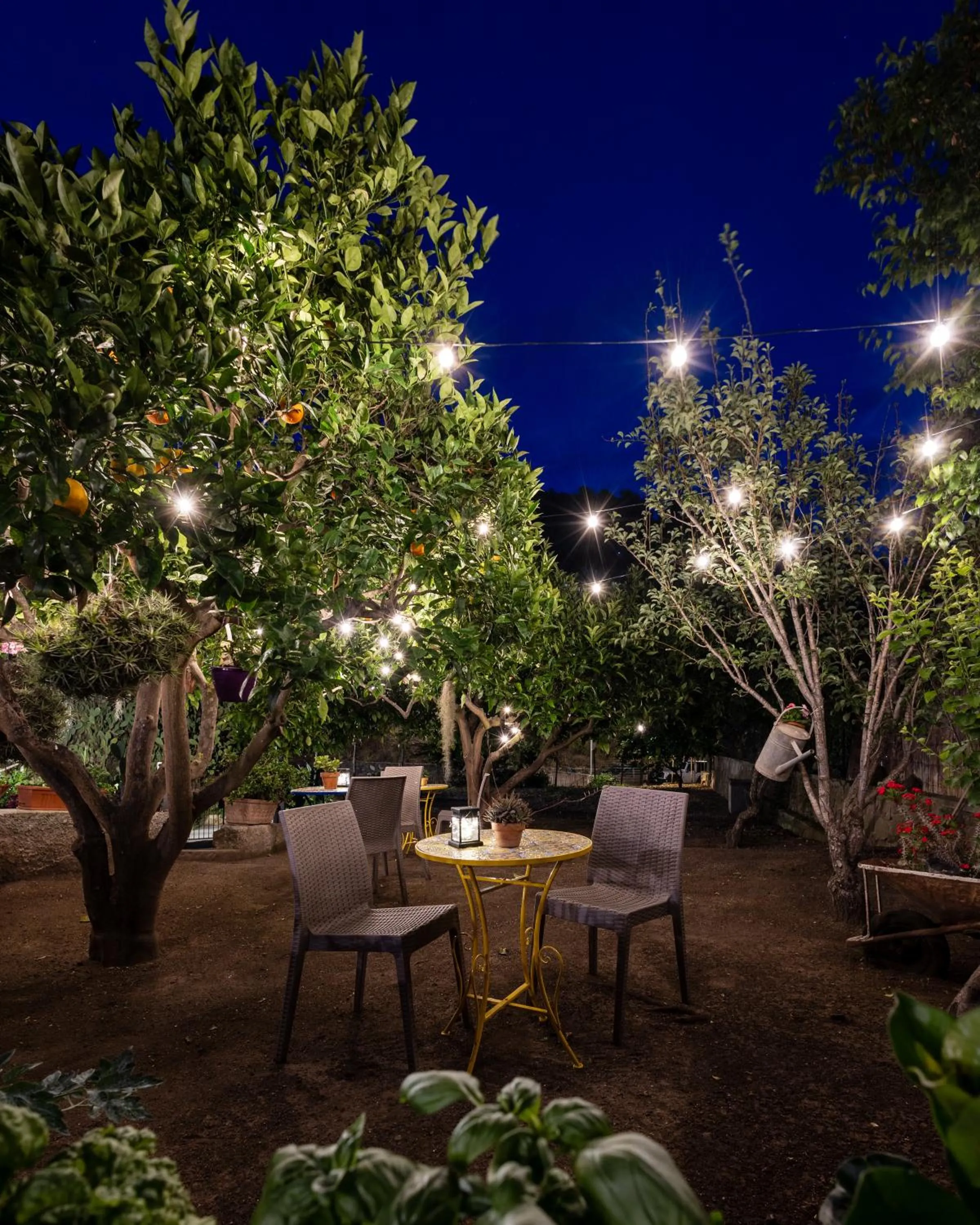 Lauricella Bed and Breakfast