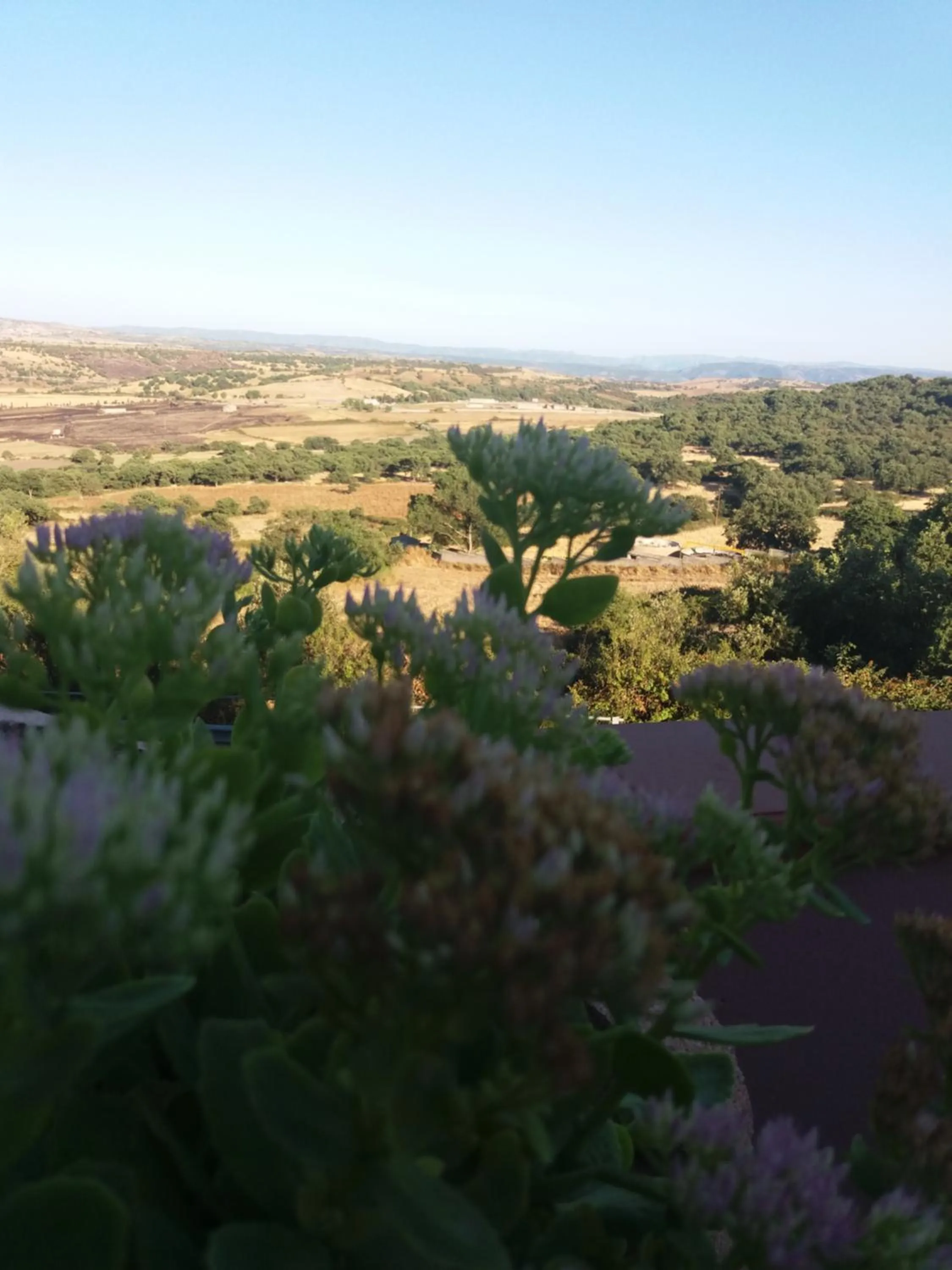 Bird's eye view in Belli come il Sole