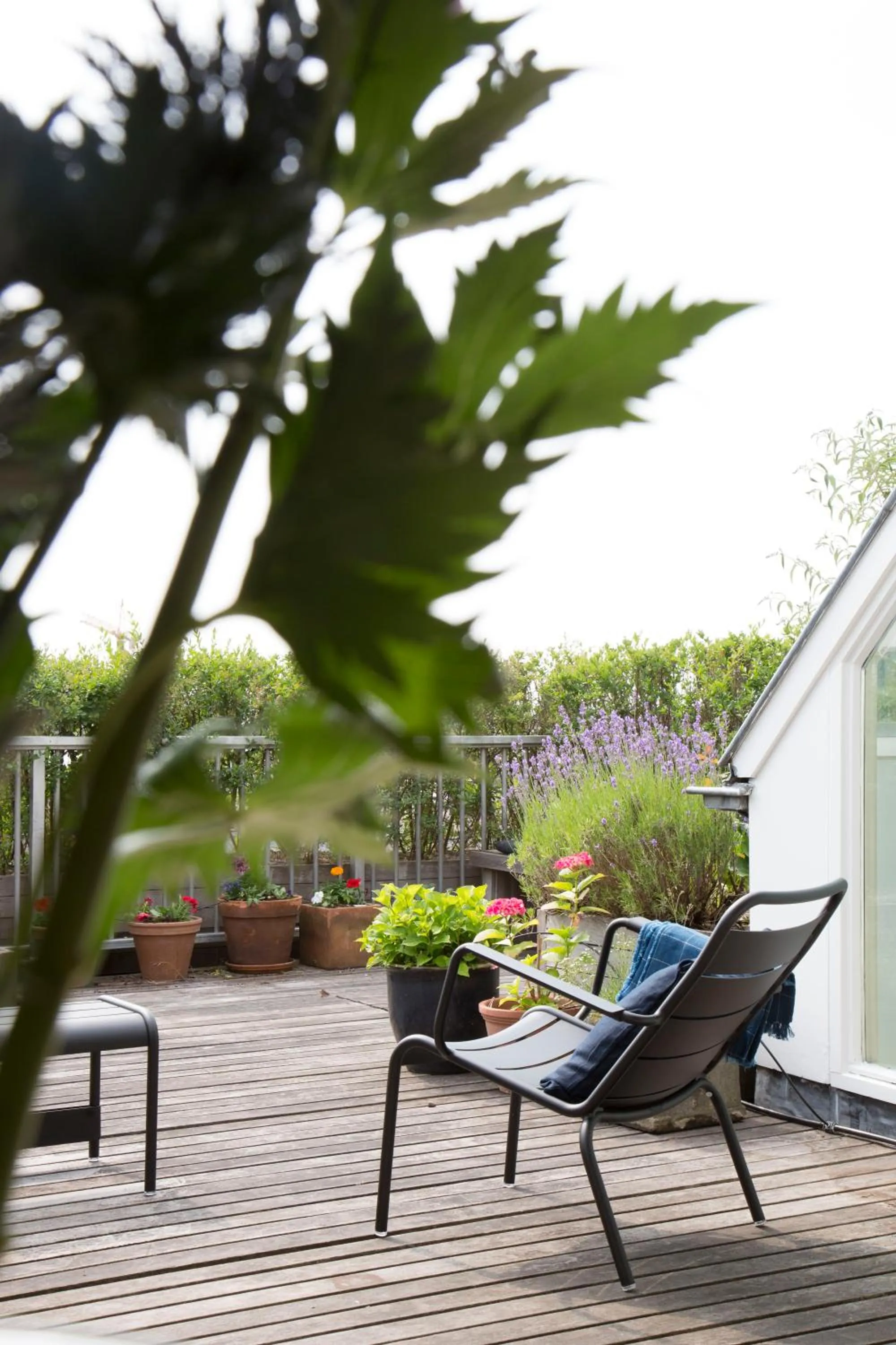 Patio in BB Museumquarter