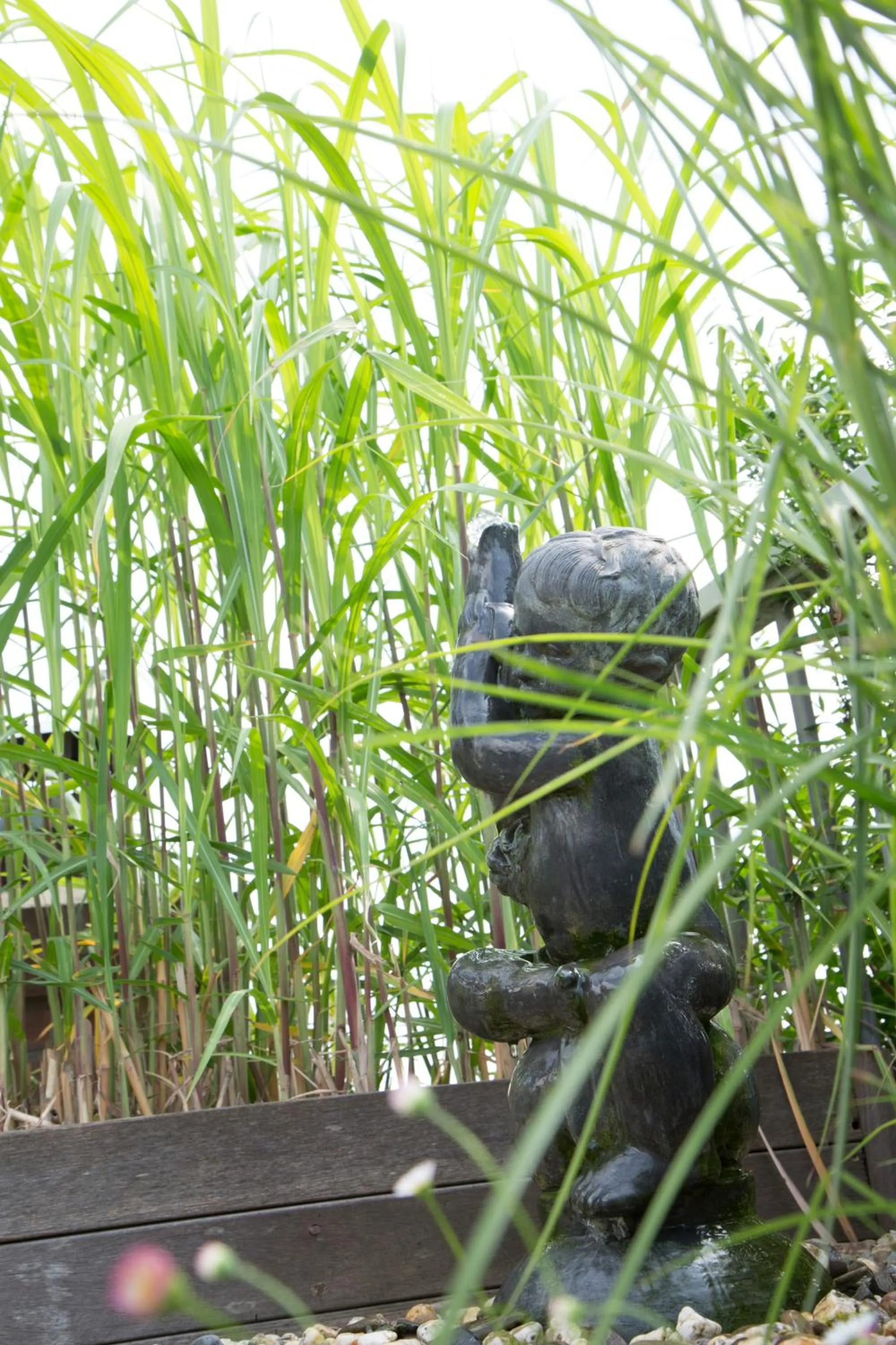 Garden in BB Museumquarter