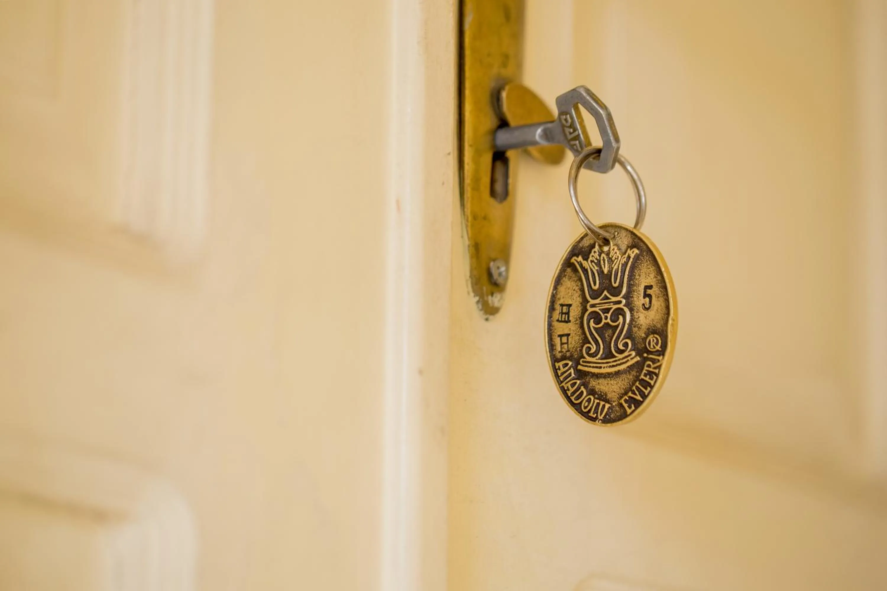 Other in Anadolu Evleri