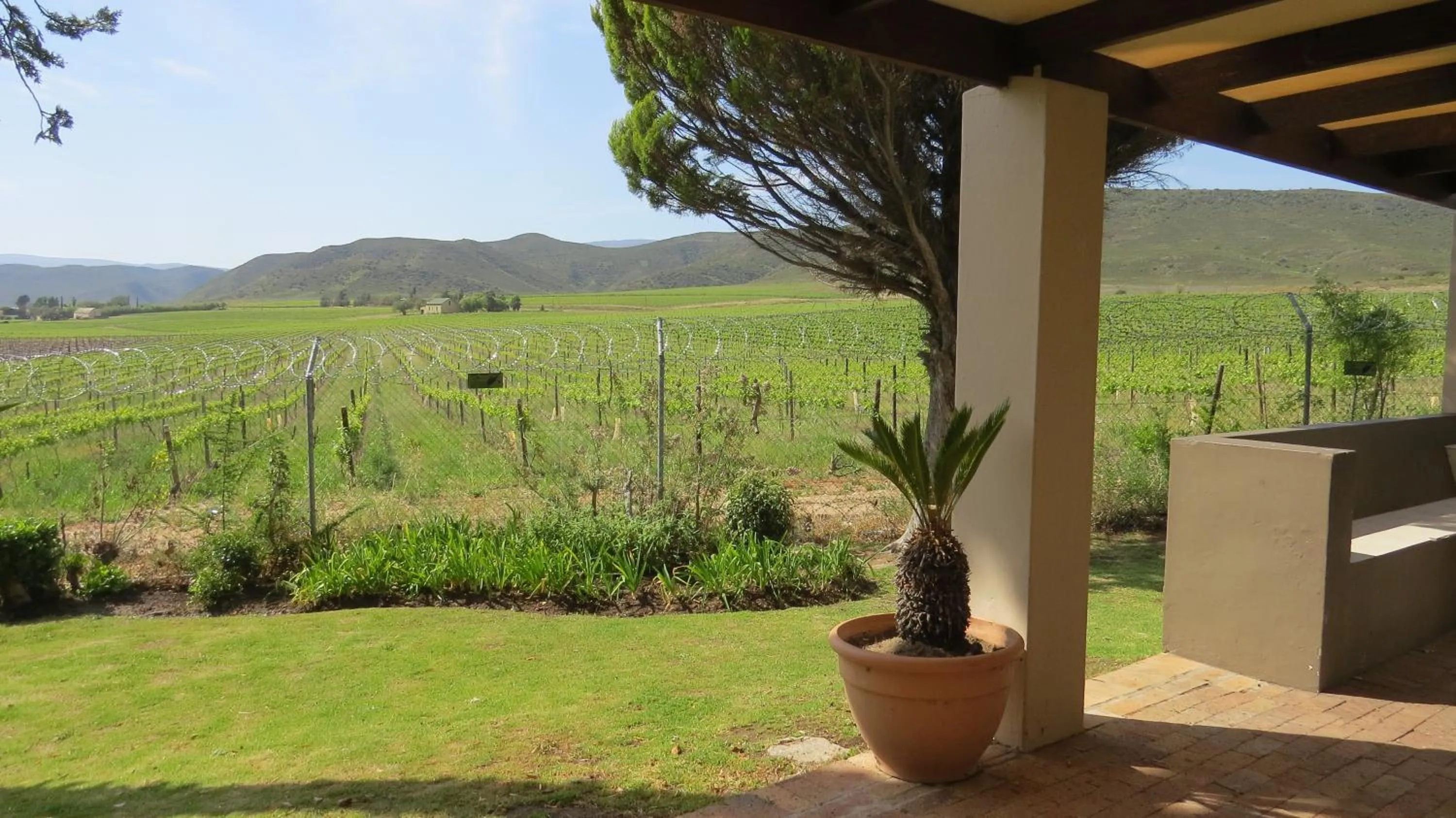 Garden view in Montagu Springs Resort