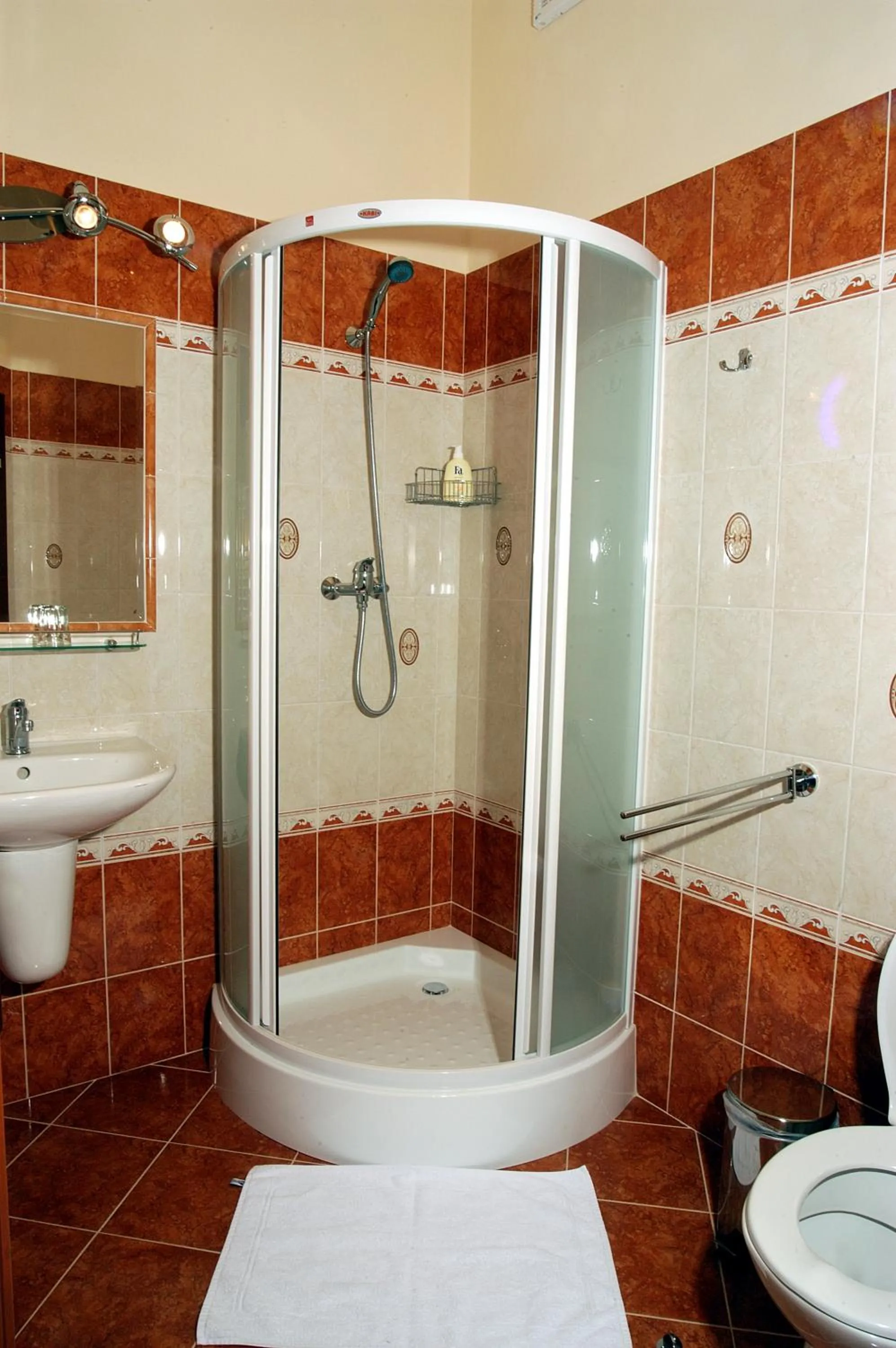 Bathroom in Penzión Zlatý Jeleň