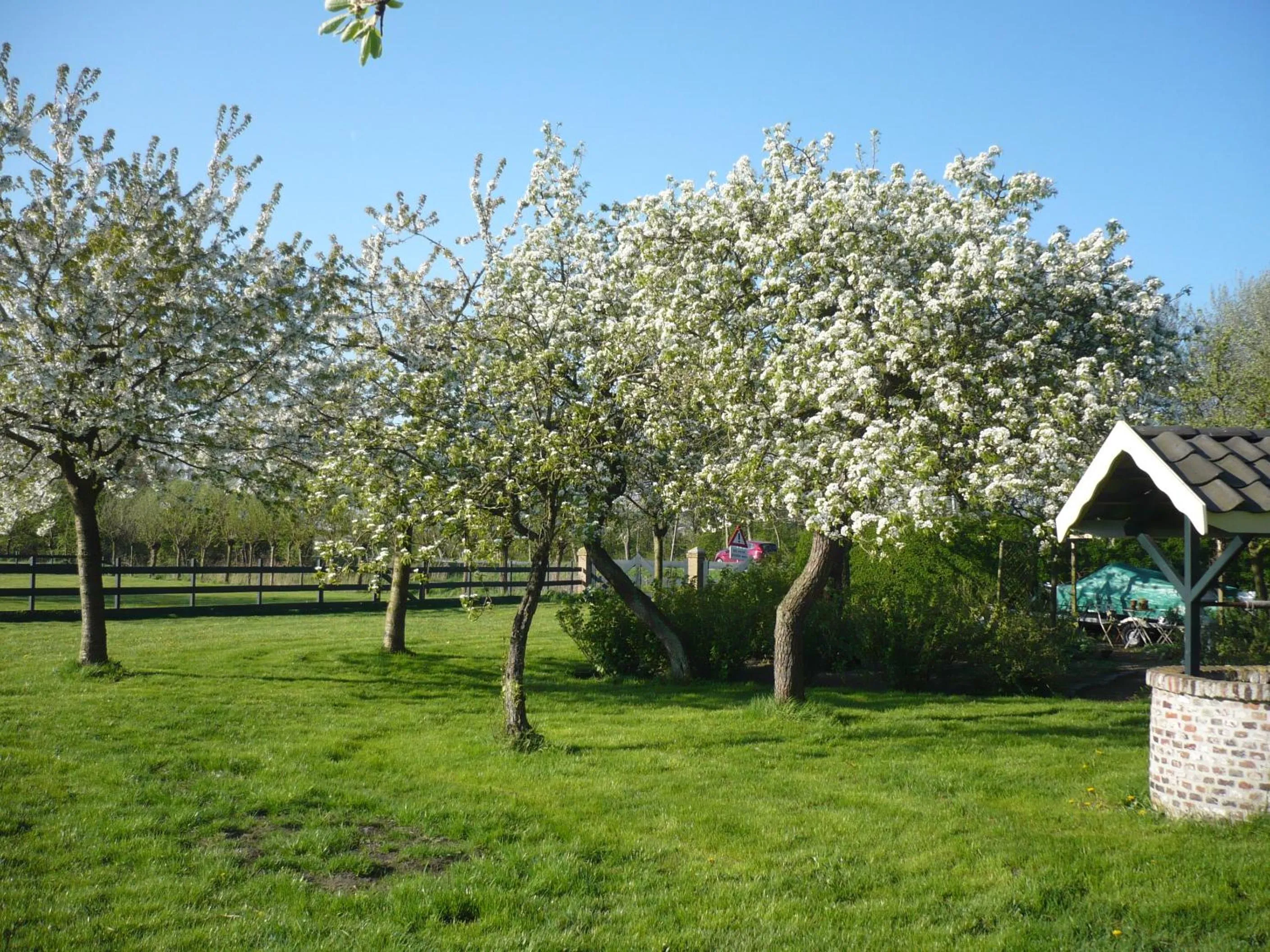 Garden in Shepherds House B&B