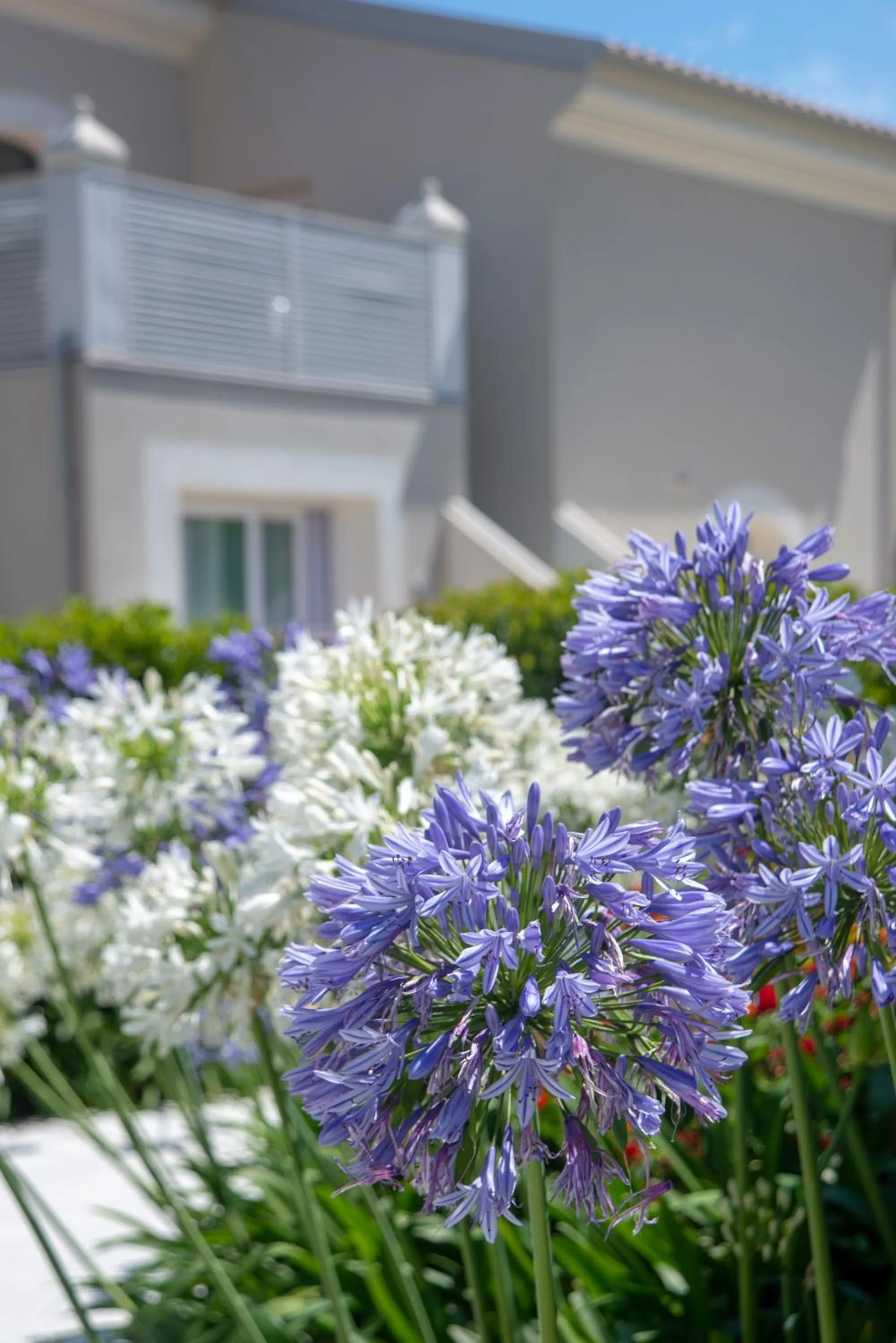 View (from property/room) in Il Borghetto Resort & Spa