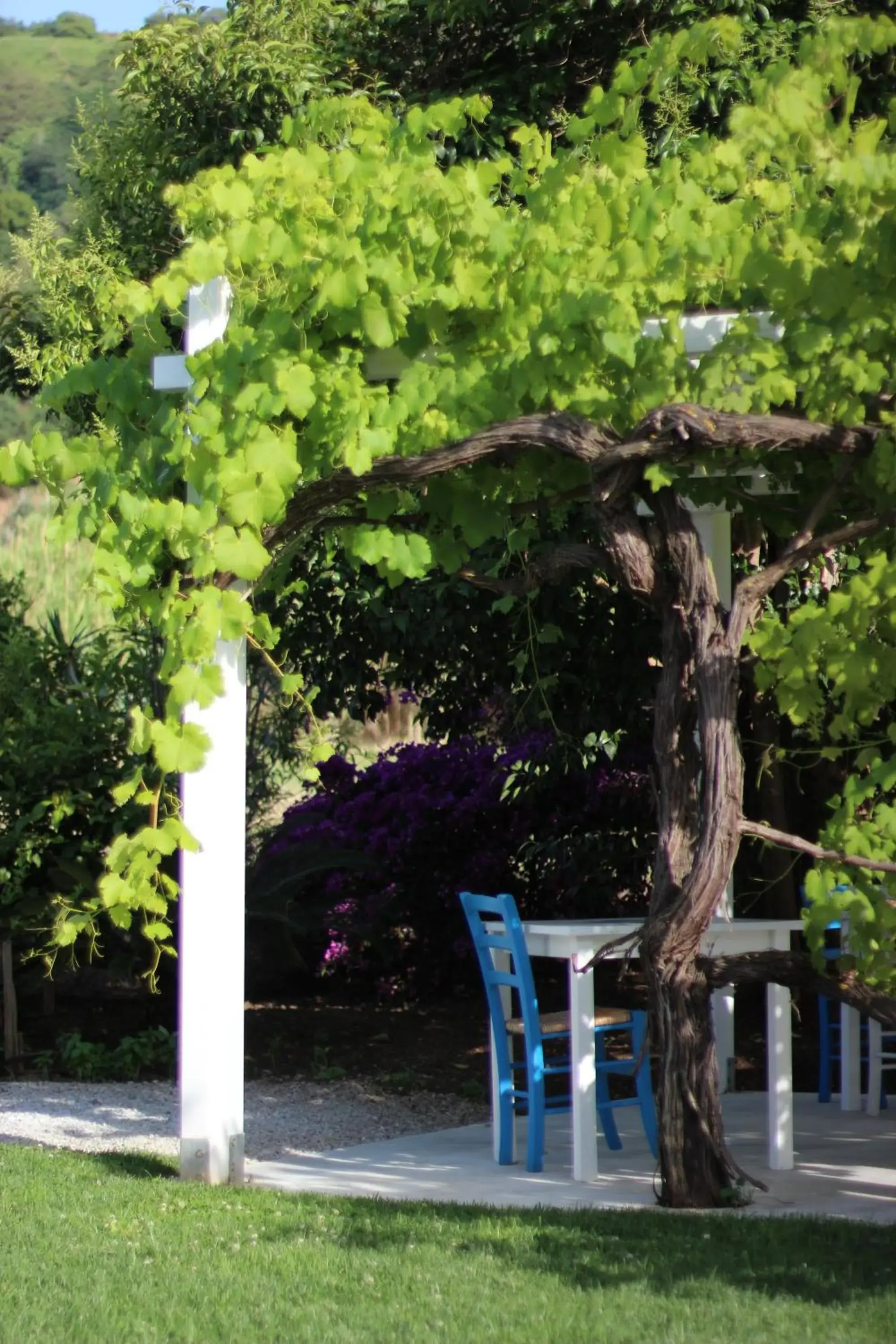 Garden view in Il Borghetto Resort & Spa Garden view in Il Borghetto Resort & Spa