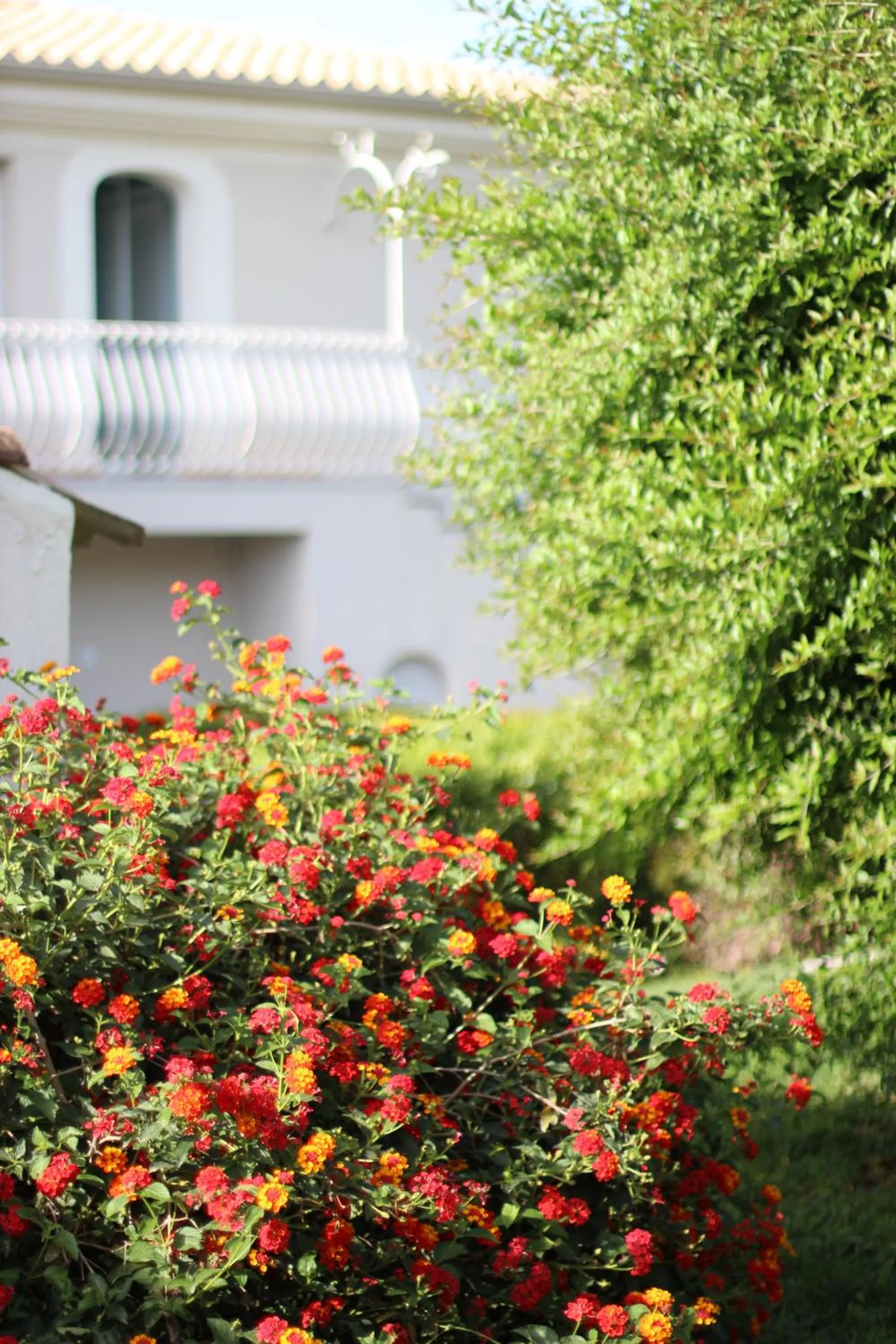 Garden view in Il Borghetto Resort & Spa