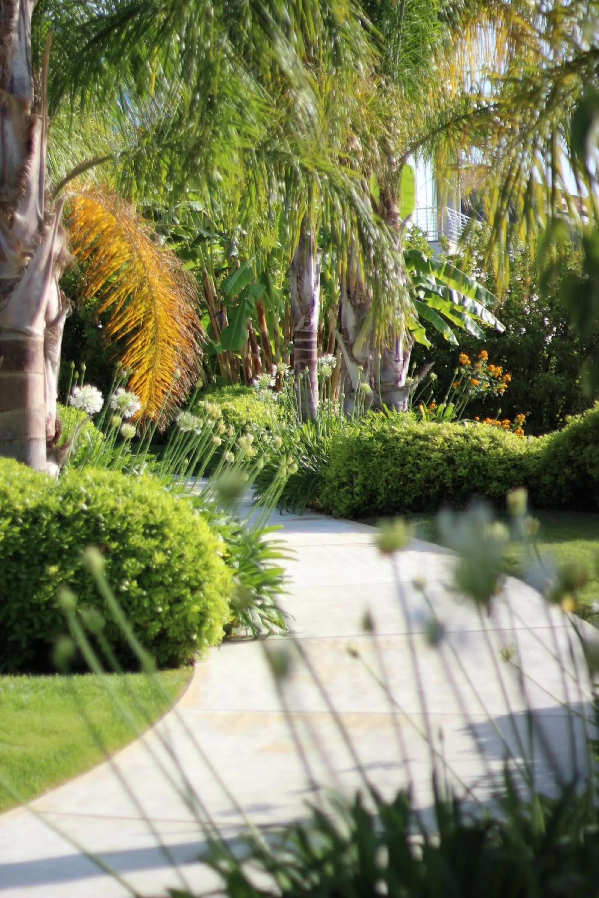 Garden view in Il Borghetto Resort & Spa