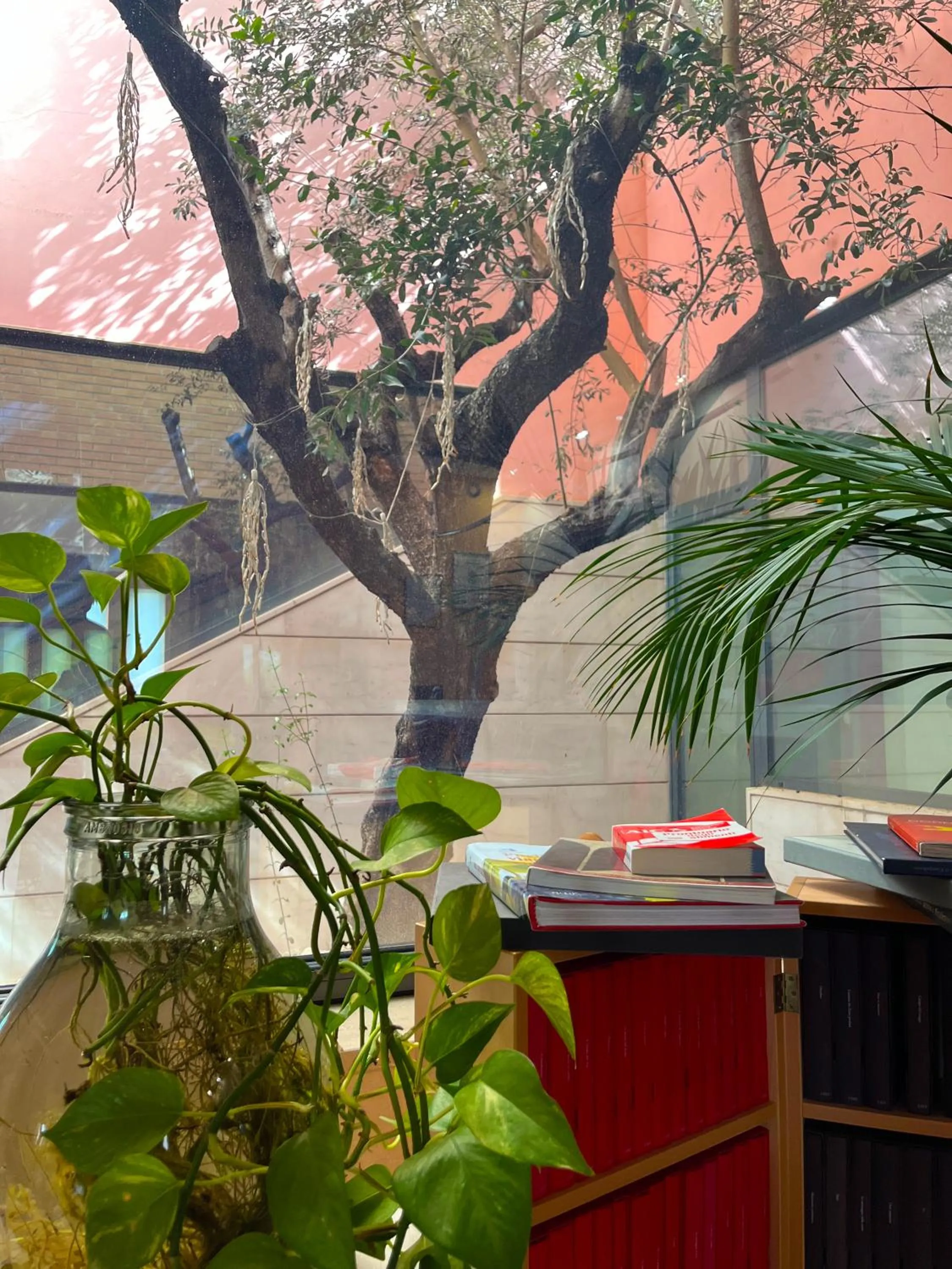 Restaurant/places to eat in don guglielmo panoramic hotel & spa