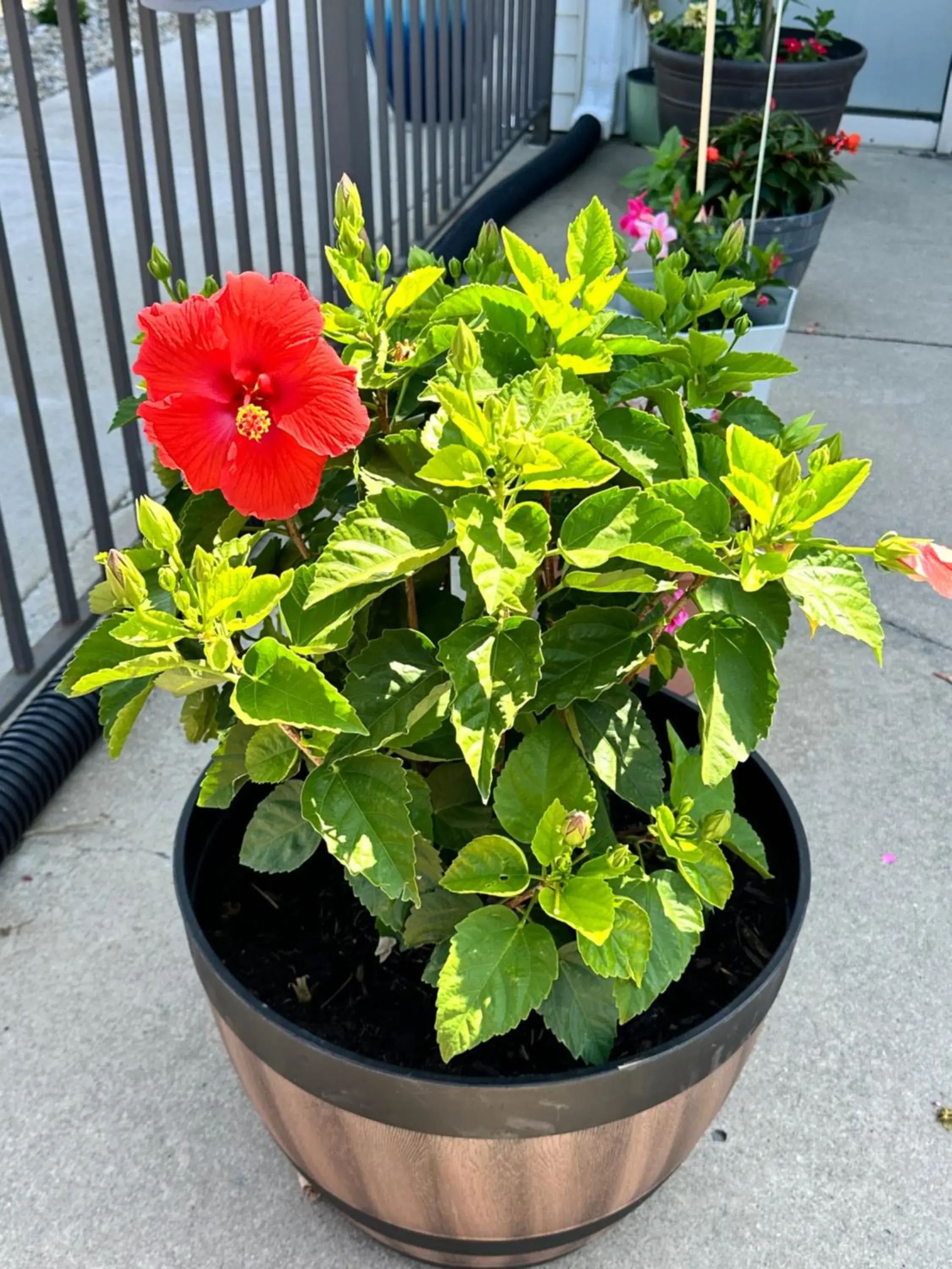 View (from property/room) in Motel 6-Fort Wayne, IN View (from property/room) in Motel 6-Fort Wayne, IN