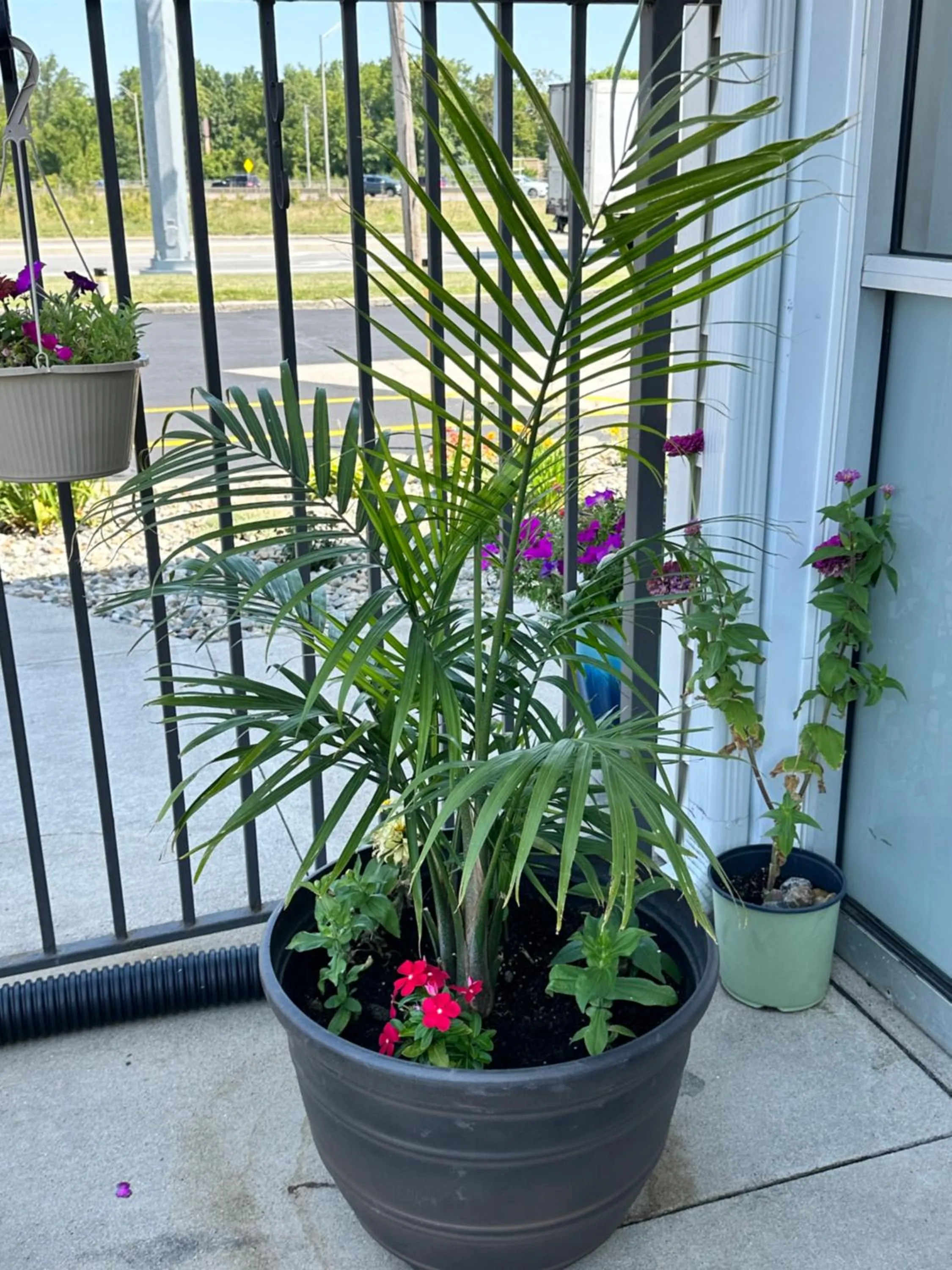 View (from property/room) in Motel 6-Fort Wayne, IN