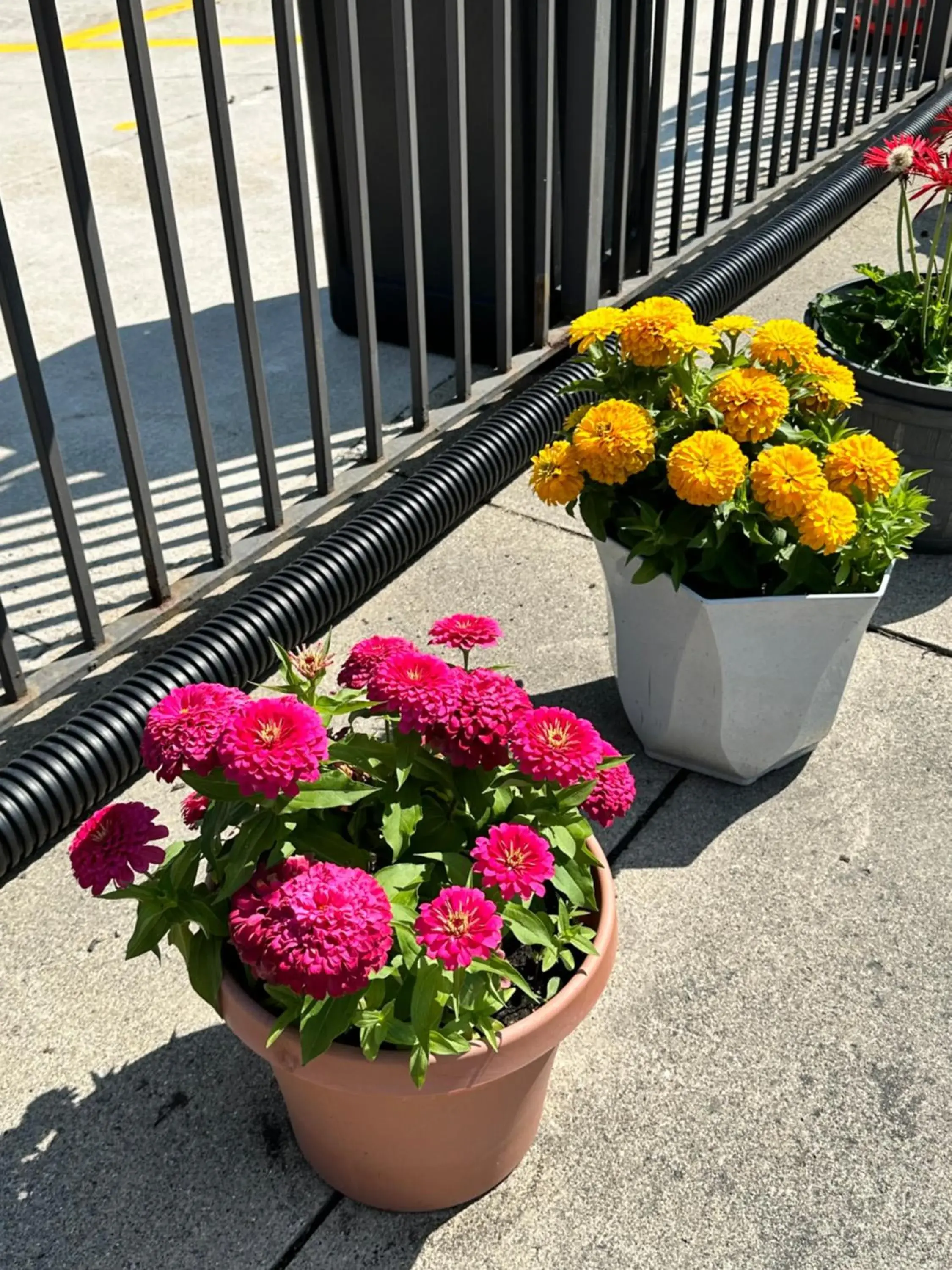 View (from property/room) in Motel 6-Fort Wayne, IN View (from property/room) in Motel 6-Fort Wayne, IN