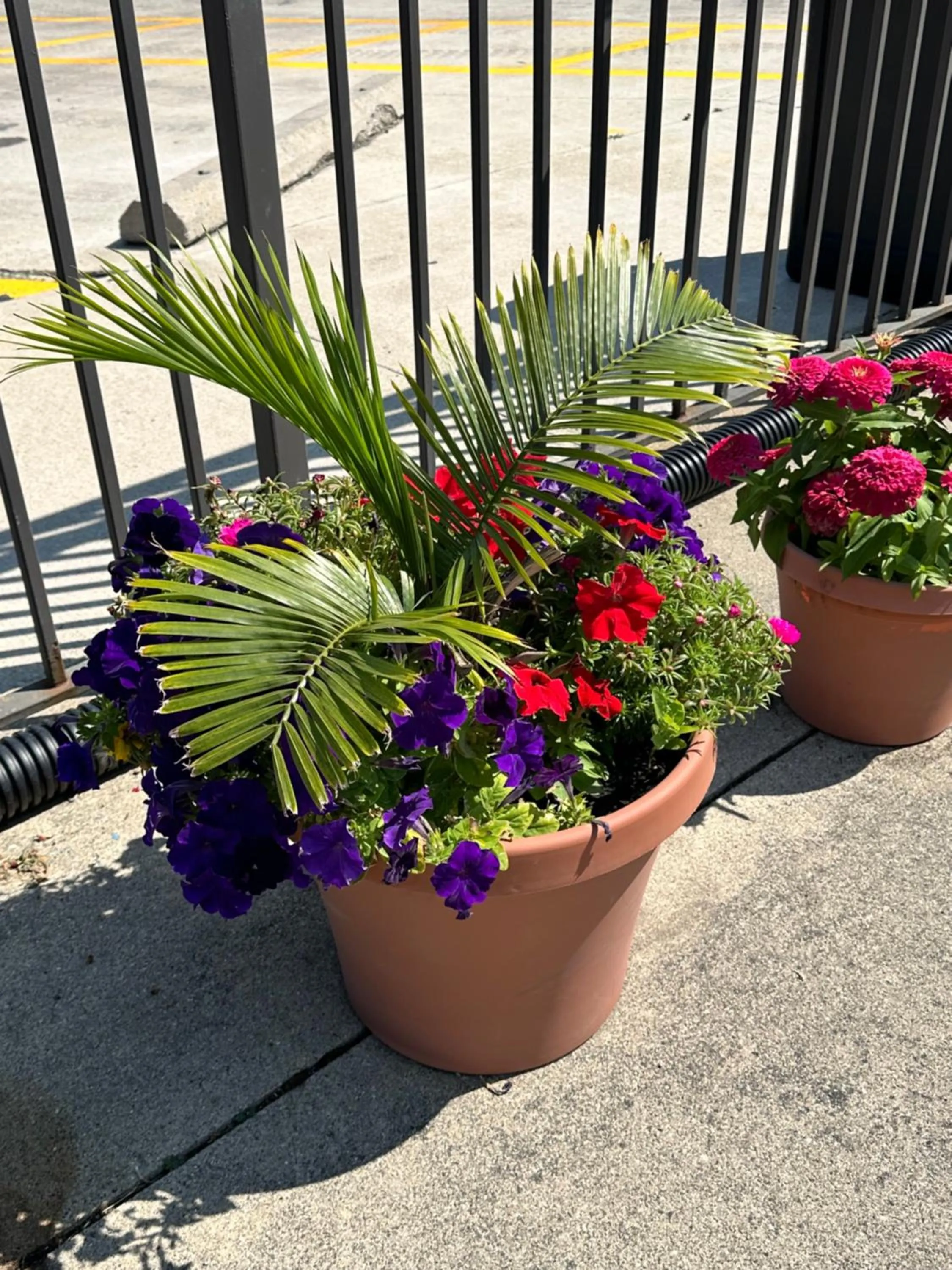 View (from property/room) in Motel 6-Fort Wayne, IN