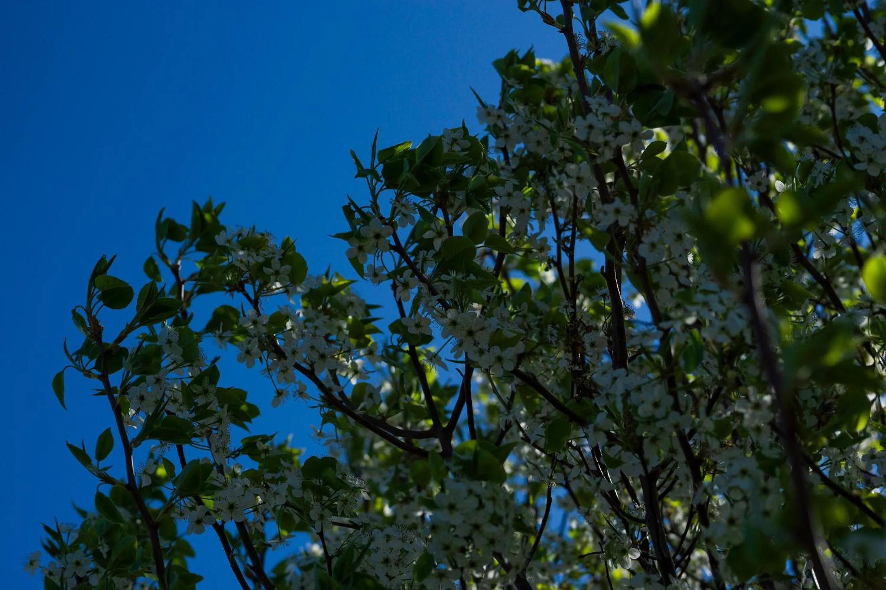 Other in Castle Inn & Suites By OYO Chickasha