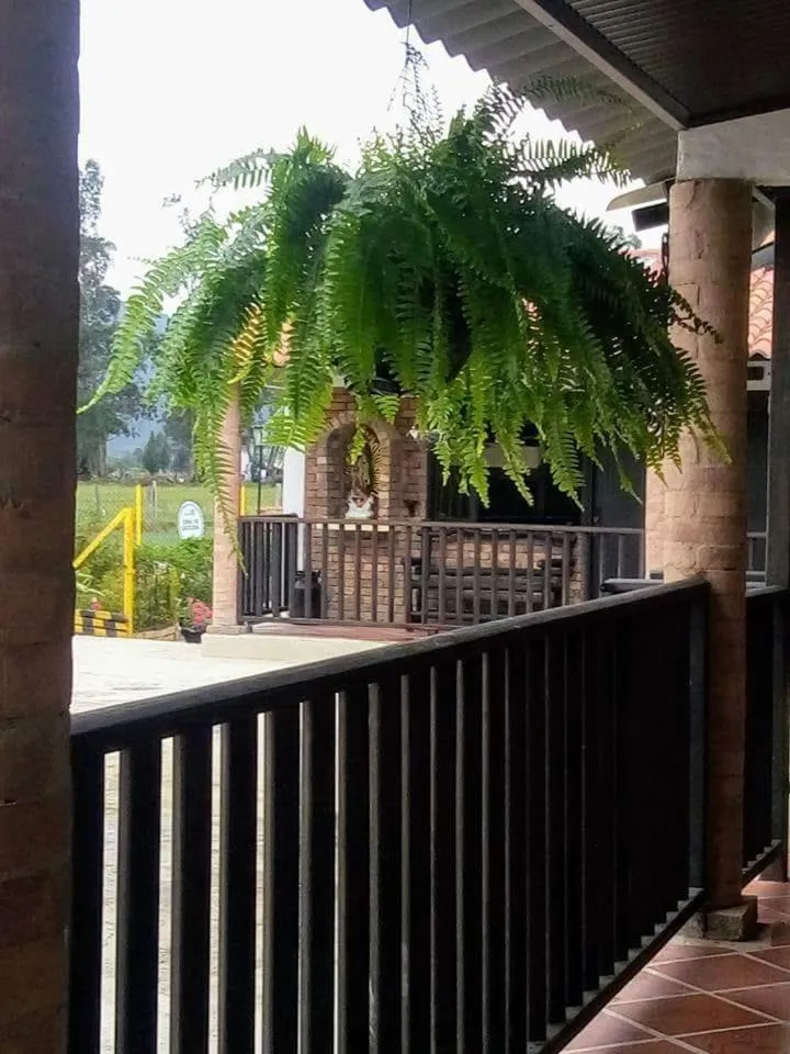 Balcony/Terrace in Posadas San Antonio Campestre