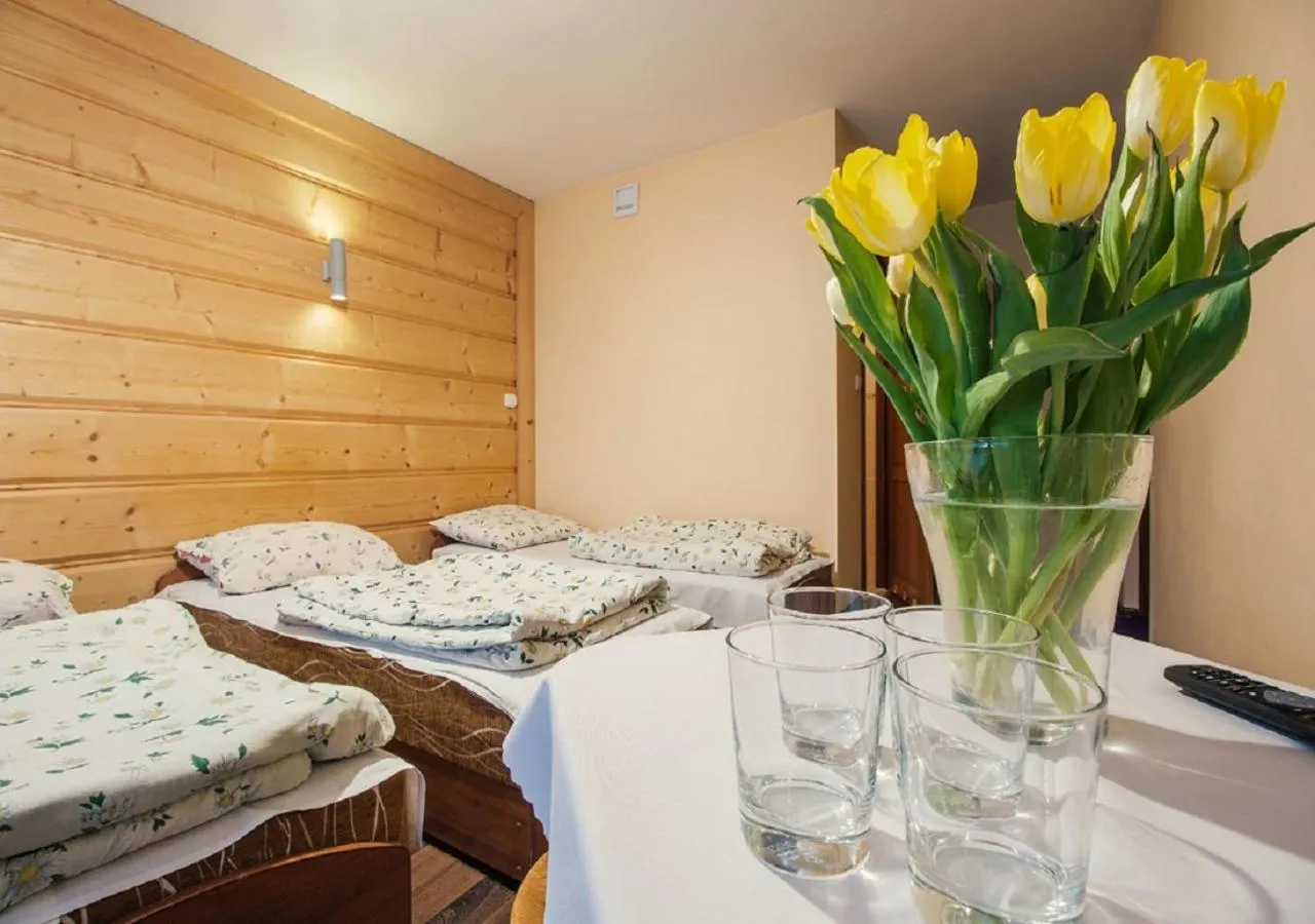 Photo of the whole room in Apartamenty Willa Kamila Zakopane z Jacuzzi