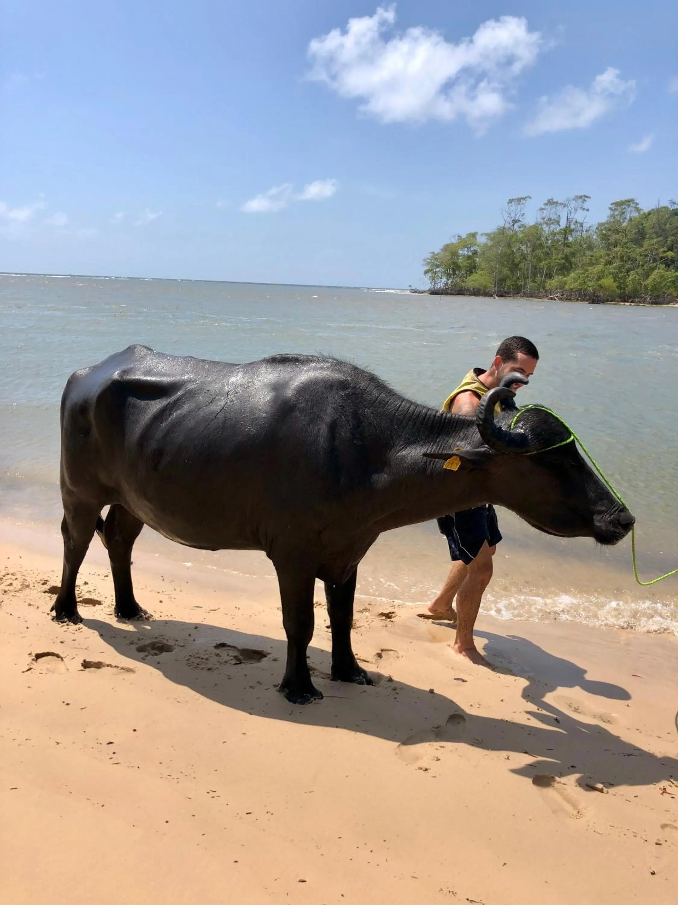 Natural landscape in Pousada O Canto do Francês