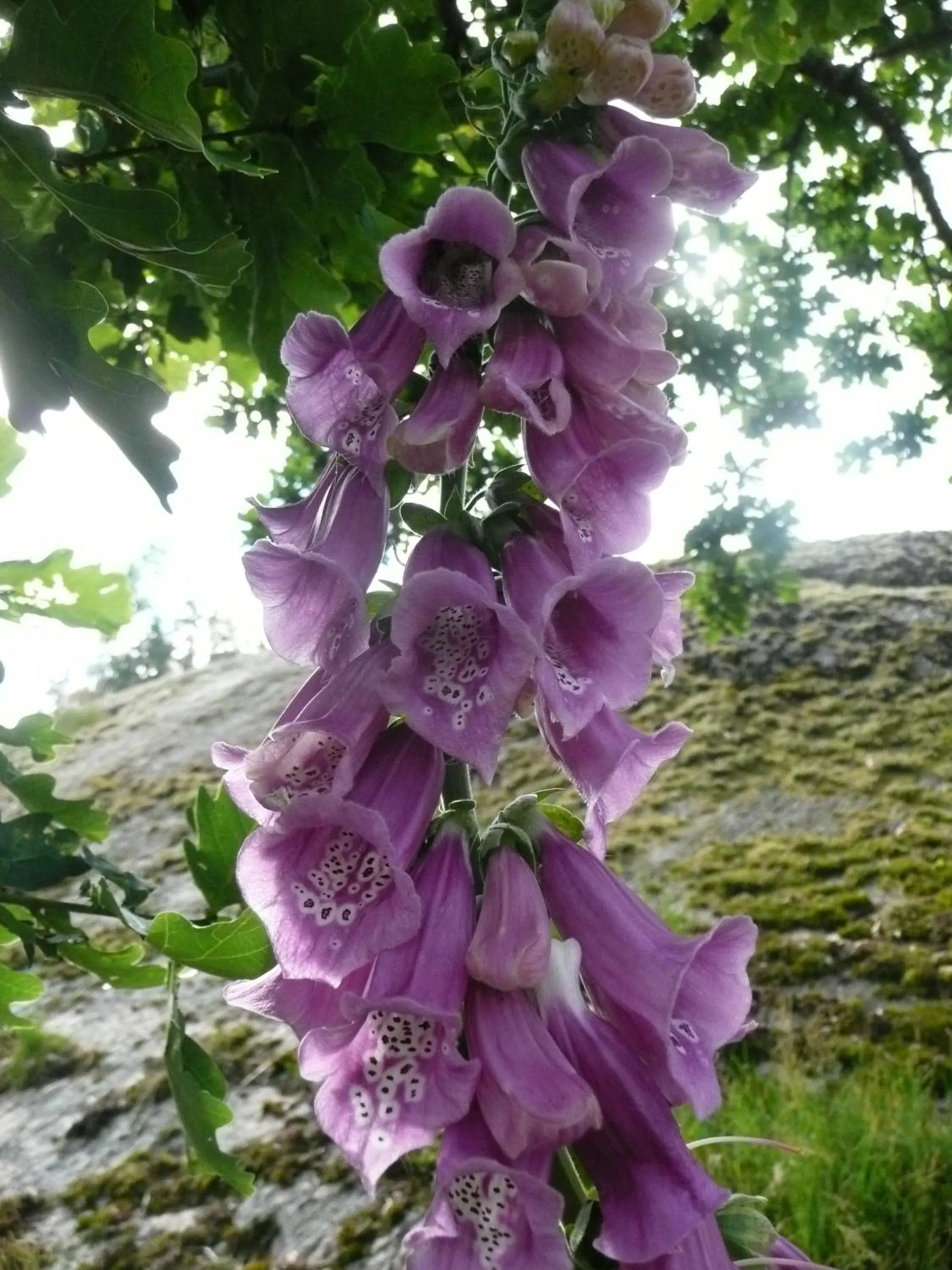 Kullens Bed and Breakfast