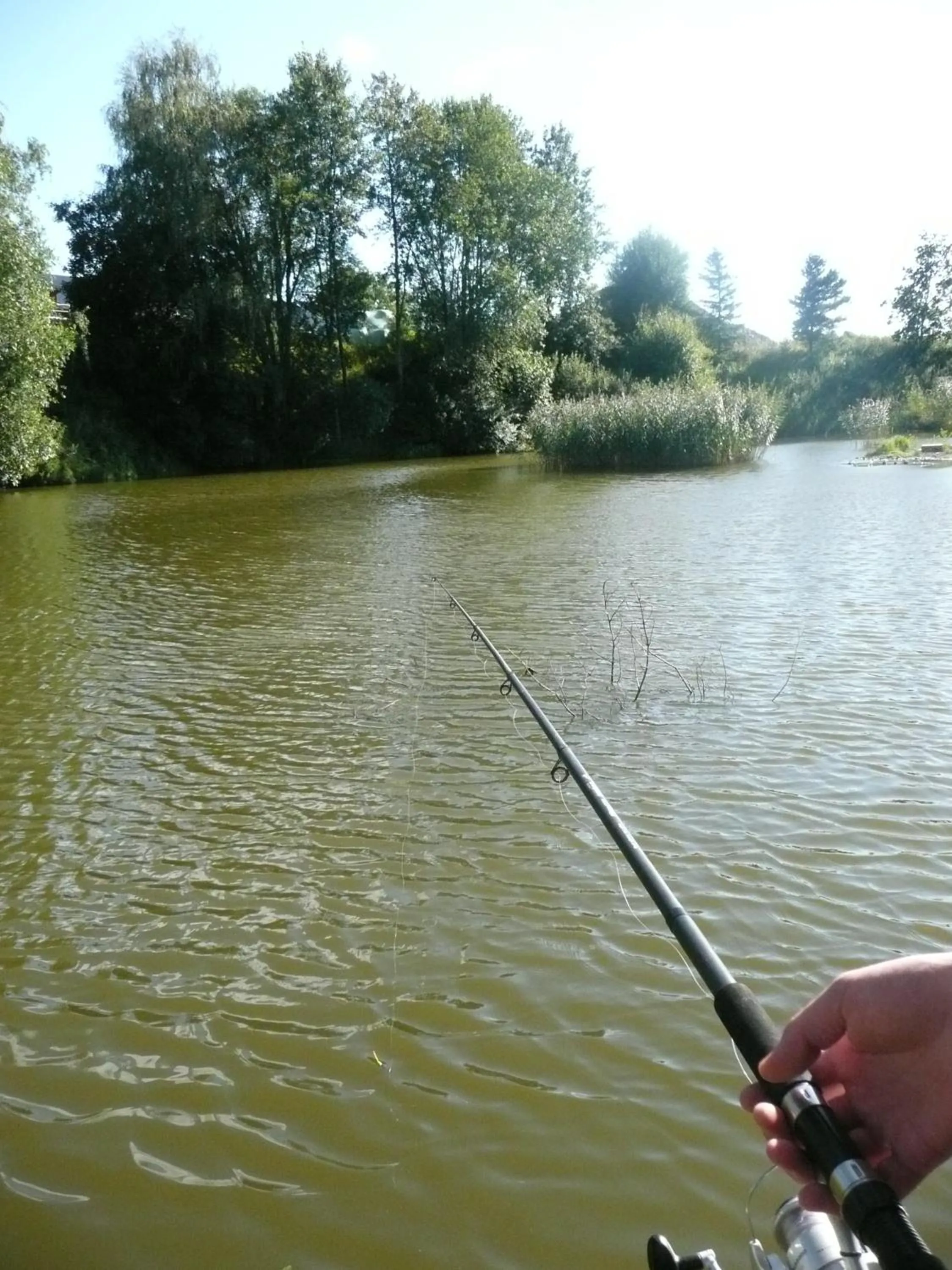Natural landscape in Kullens Bed and Breakfast