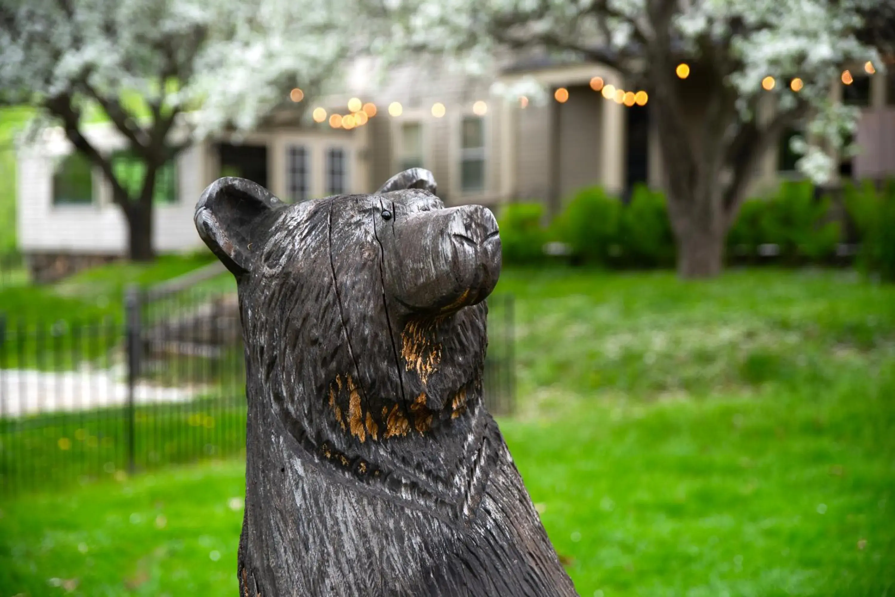 Property building in Whitneys Inn at Black Mountain Property building in Whitneys Inn at Black Mountain